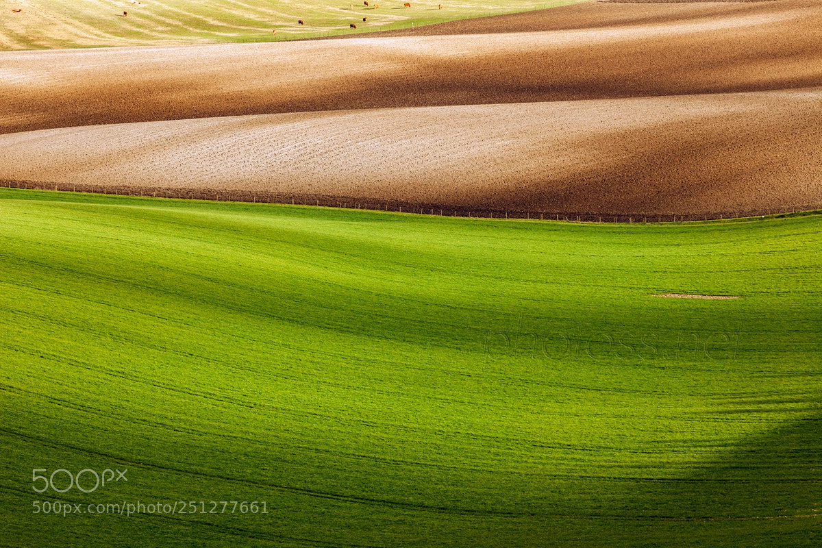 Canon EOS 5D Mark II sample photo. Painted fields photography