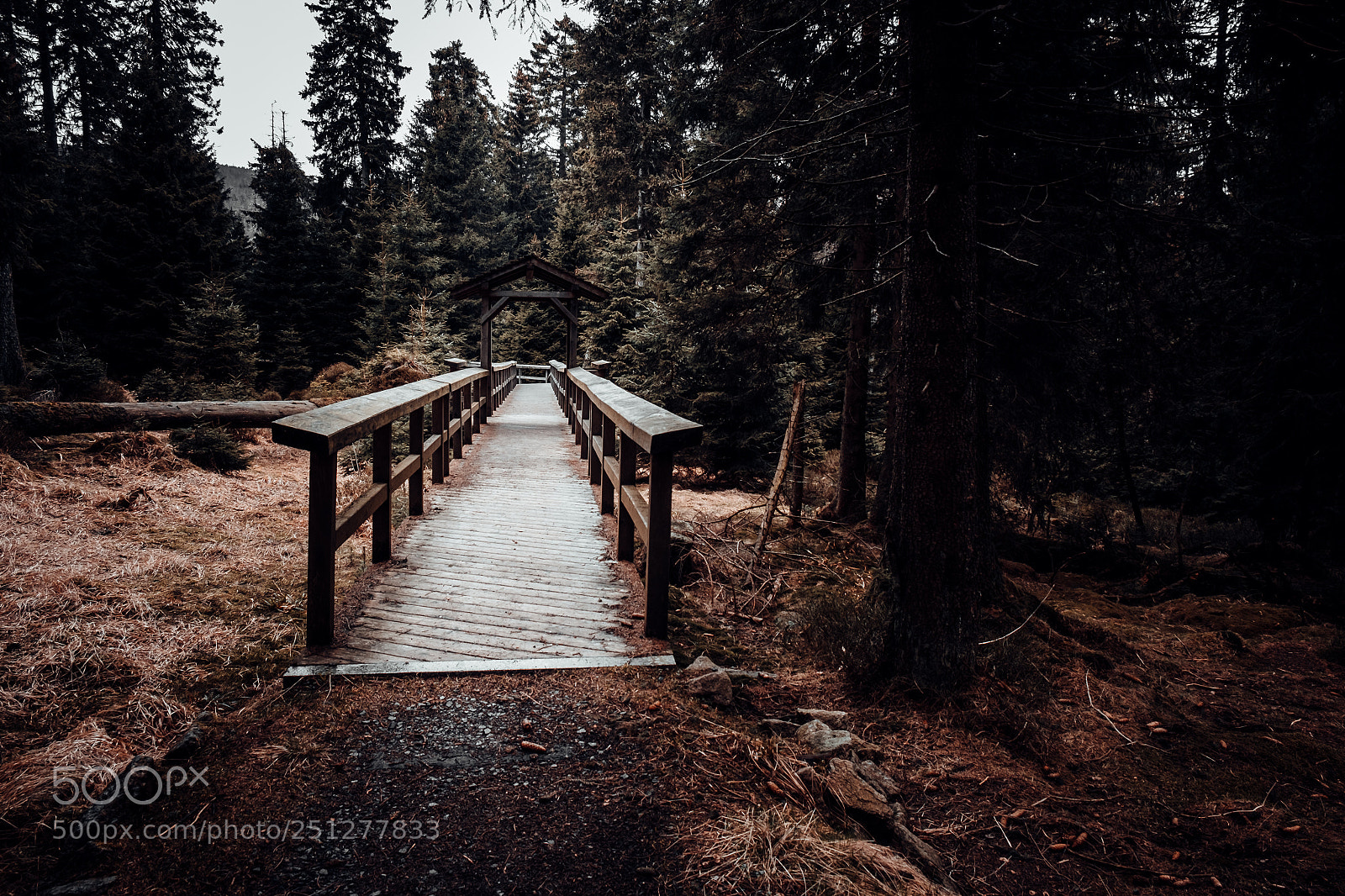 Fujifilm X-E1 sample photo. Waldbrücke photography