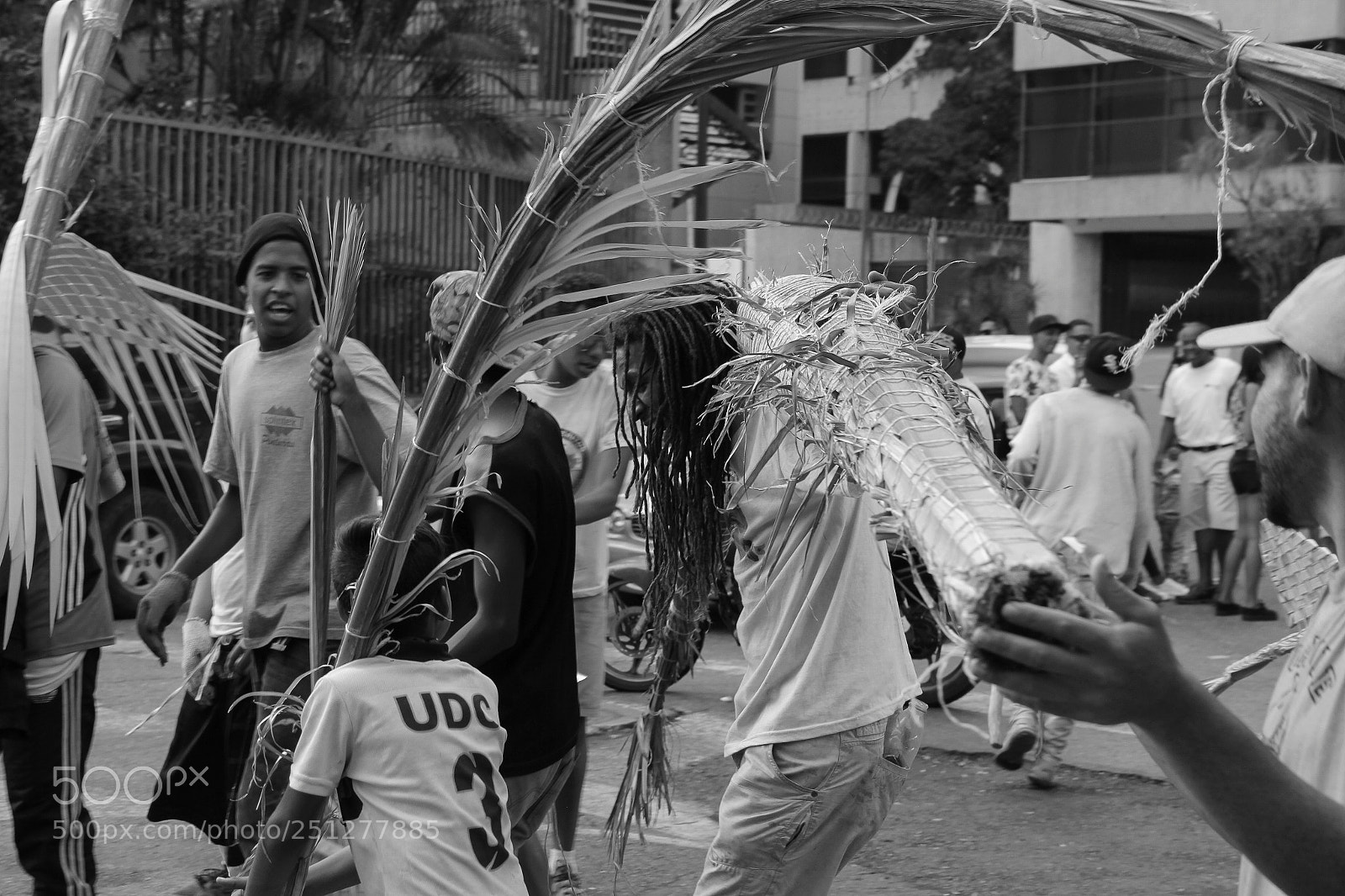Canon EOS 60D sample photo. Palmeros de chacao photography