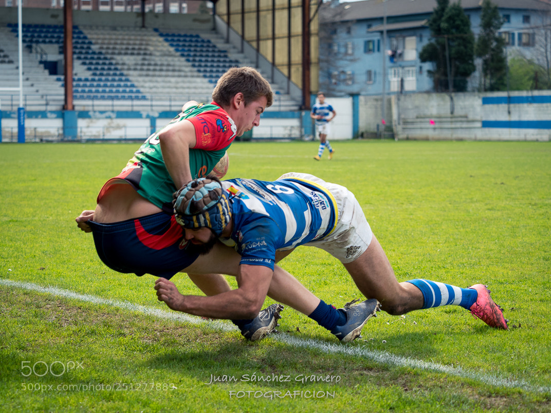 Olympus OM-D E-M5 II sample photo. Placaje photography