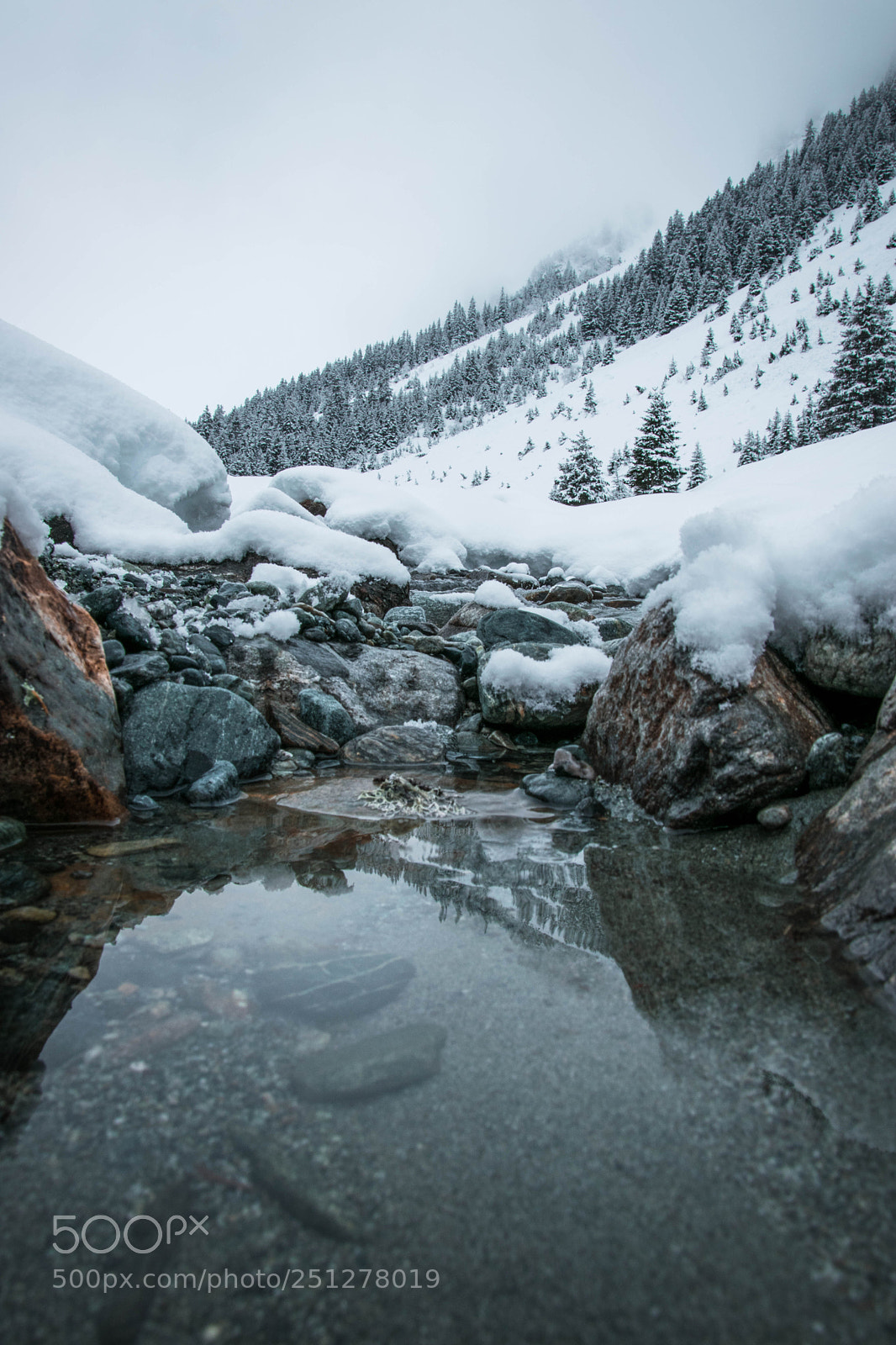 Nikon D3300 sample photo. The alps in the photography