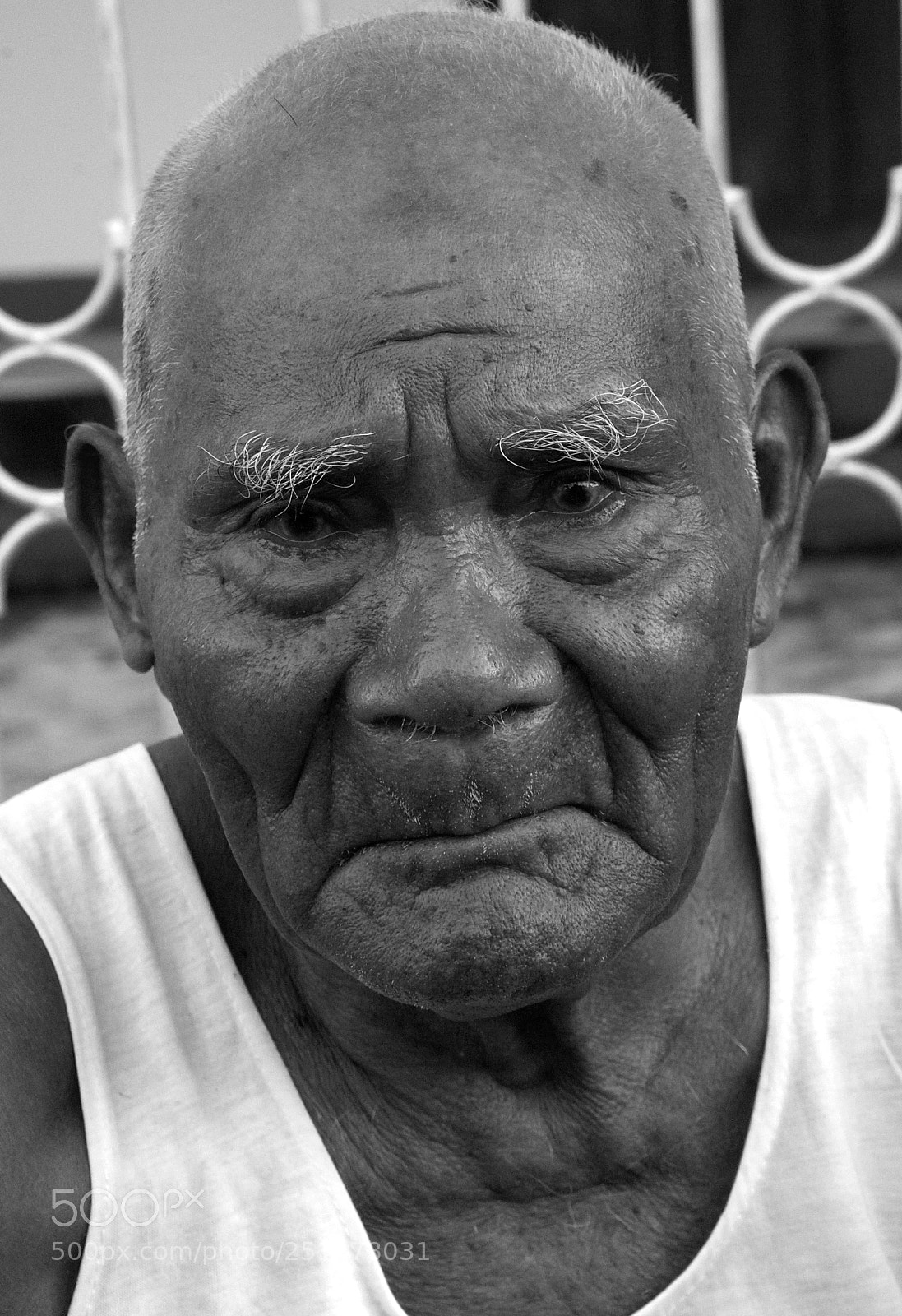 Nikon D3 sample photo. Take as many pictures photography