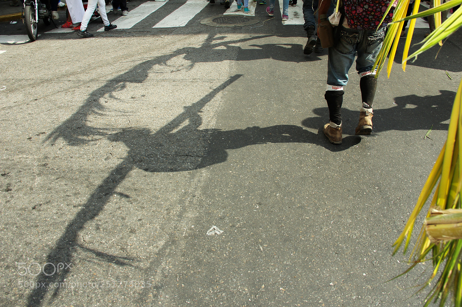 Canon EOS 60D sample photo. Palmeros de chacao photography
