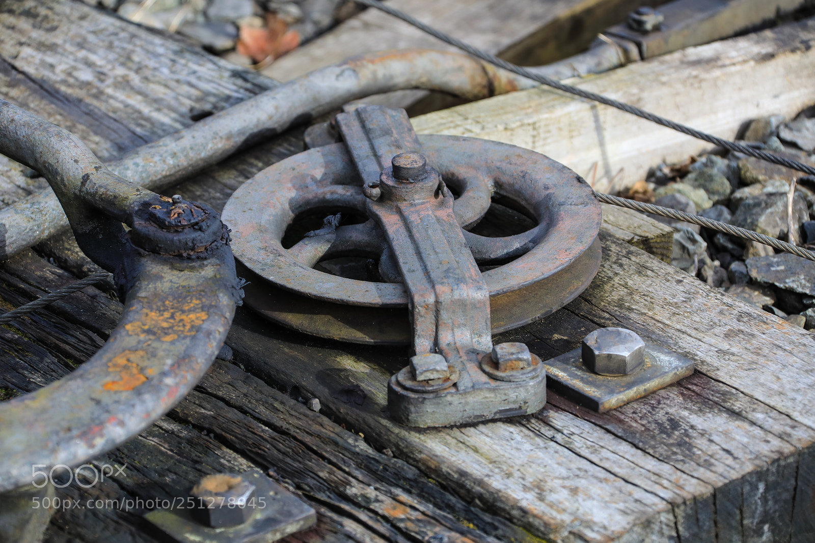 Canon EOS 5D Mark IV sample photo. Untitled photography