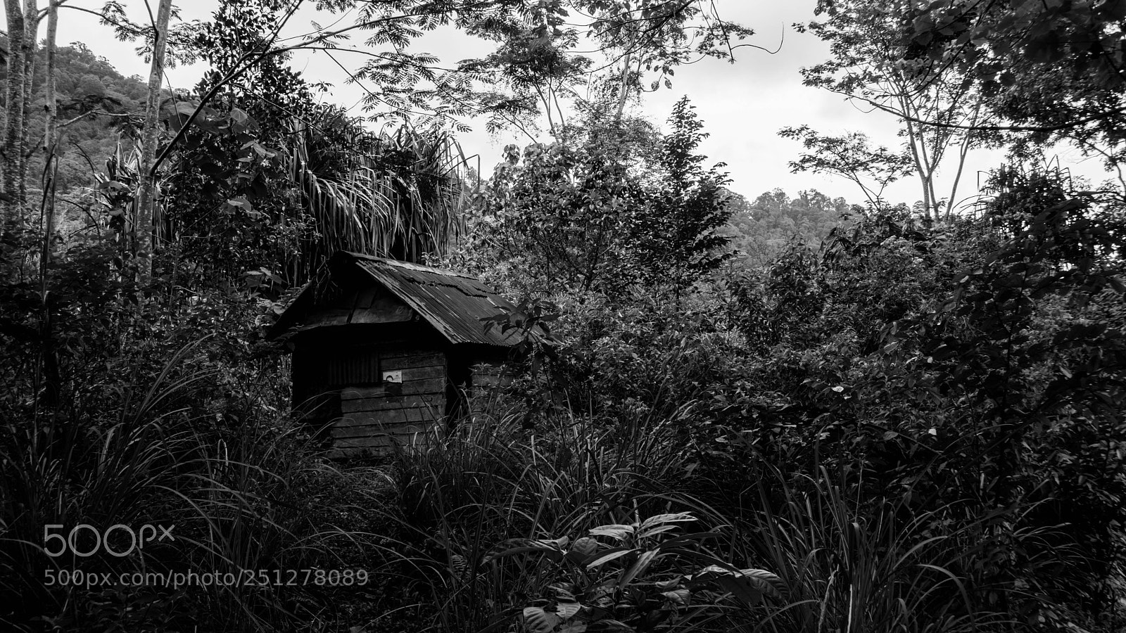Sony a6000 sample photo. Abandoned cottage photography