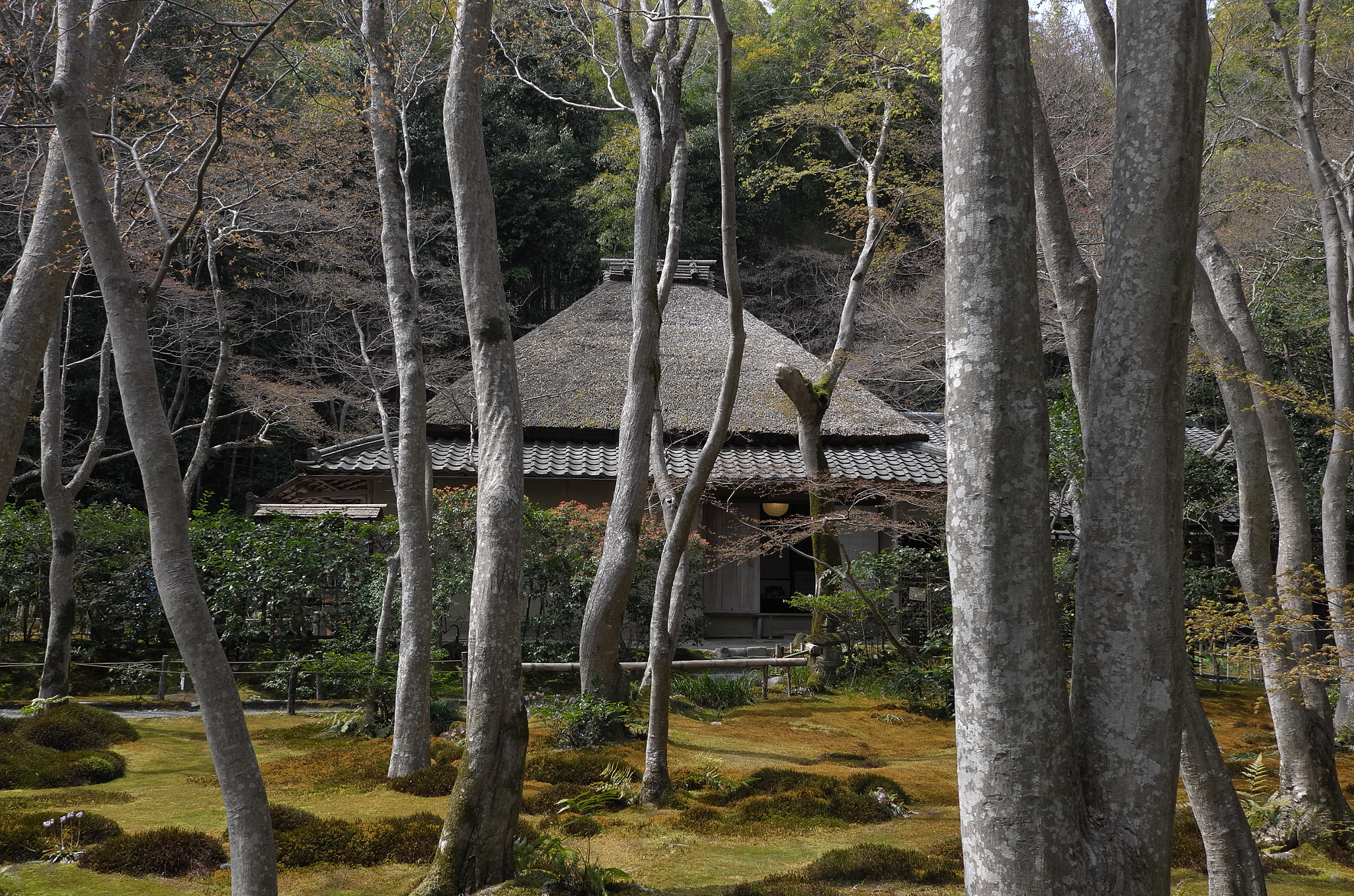 Leica X (Typ 113) sample photo. A hermitage #03 photography