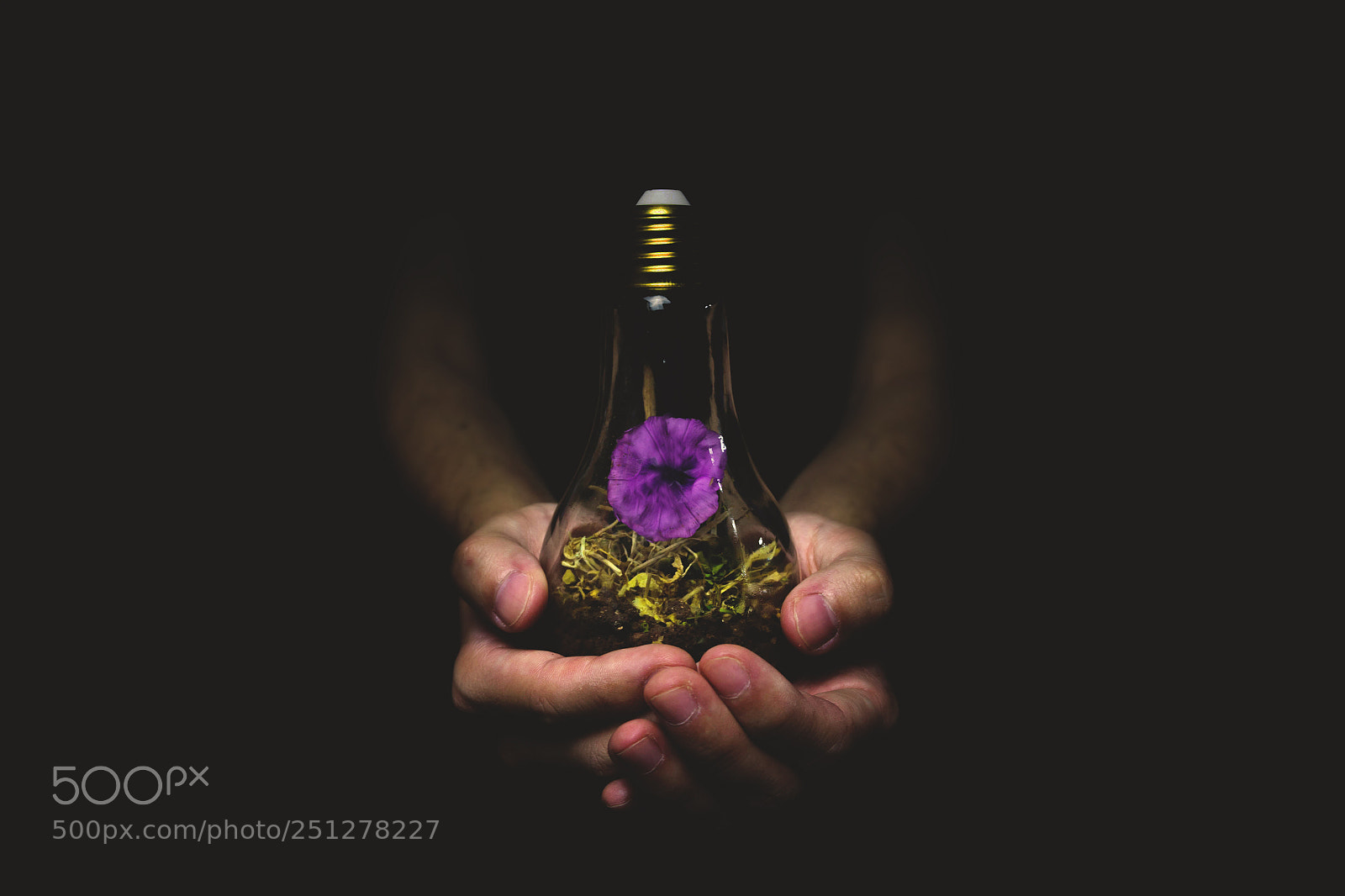 Canon EOS 700D (EOS Rebel T5i / EOS Kiss X7i) sample photo. Life in a lightbulb photography