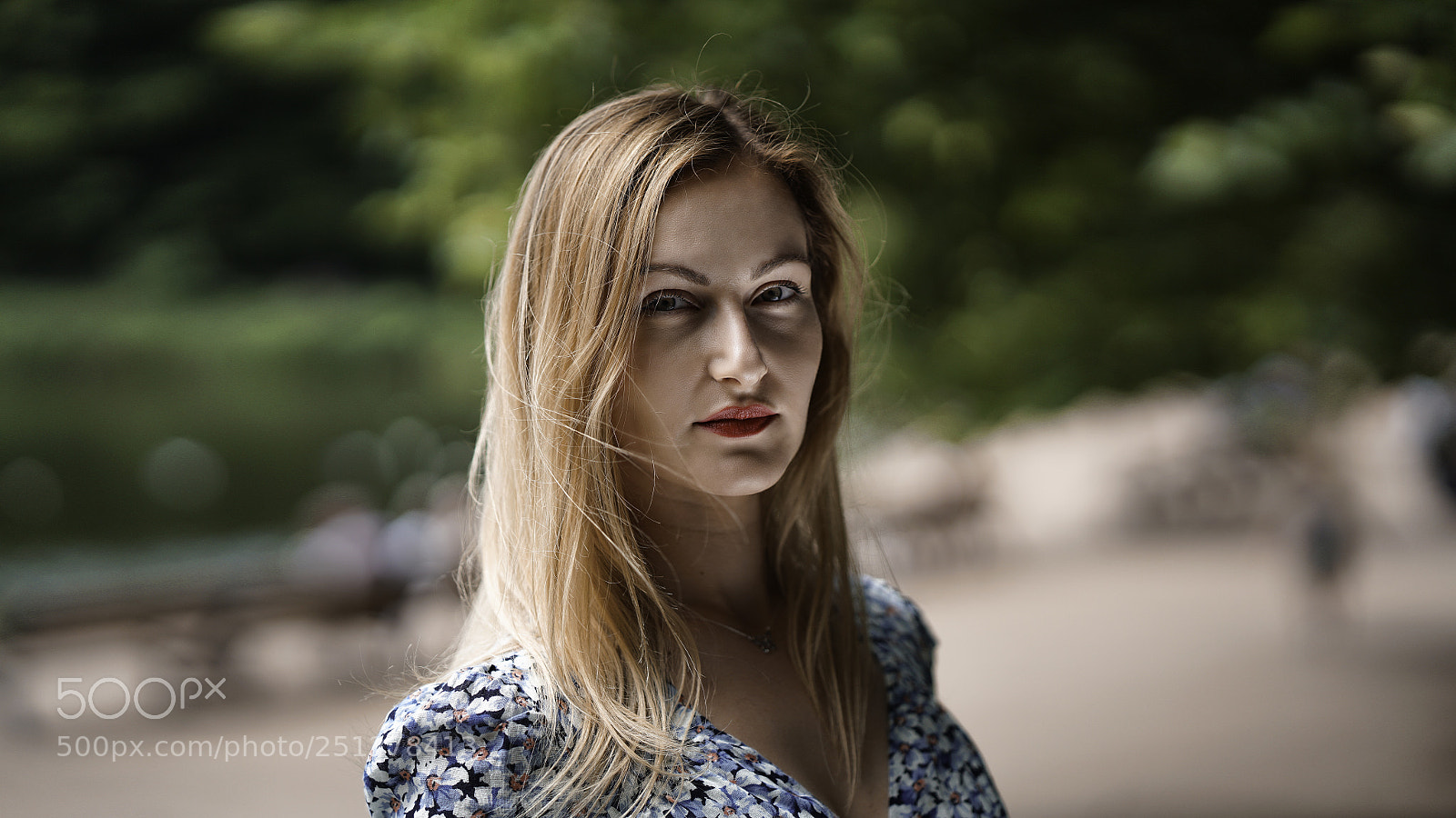 Sony a7R II sample photo. Reflector photography