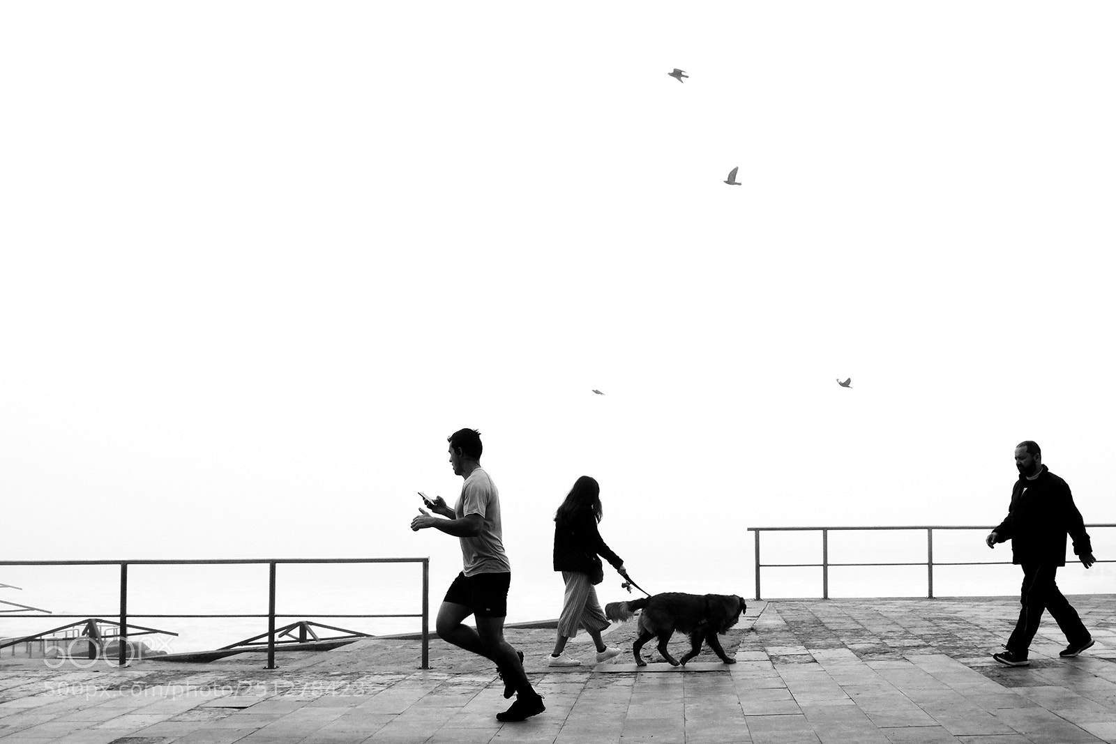 Fujifilm X-T20 sample photo. Cascais photography