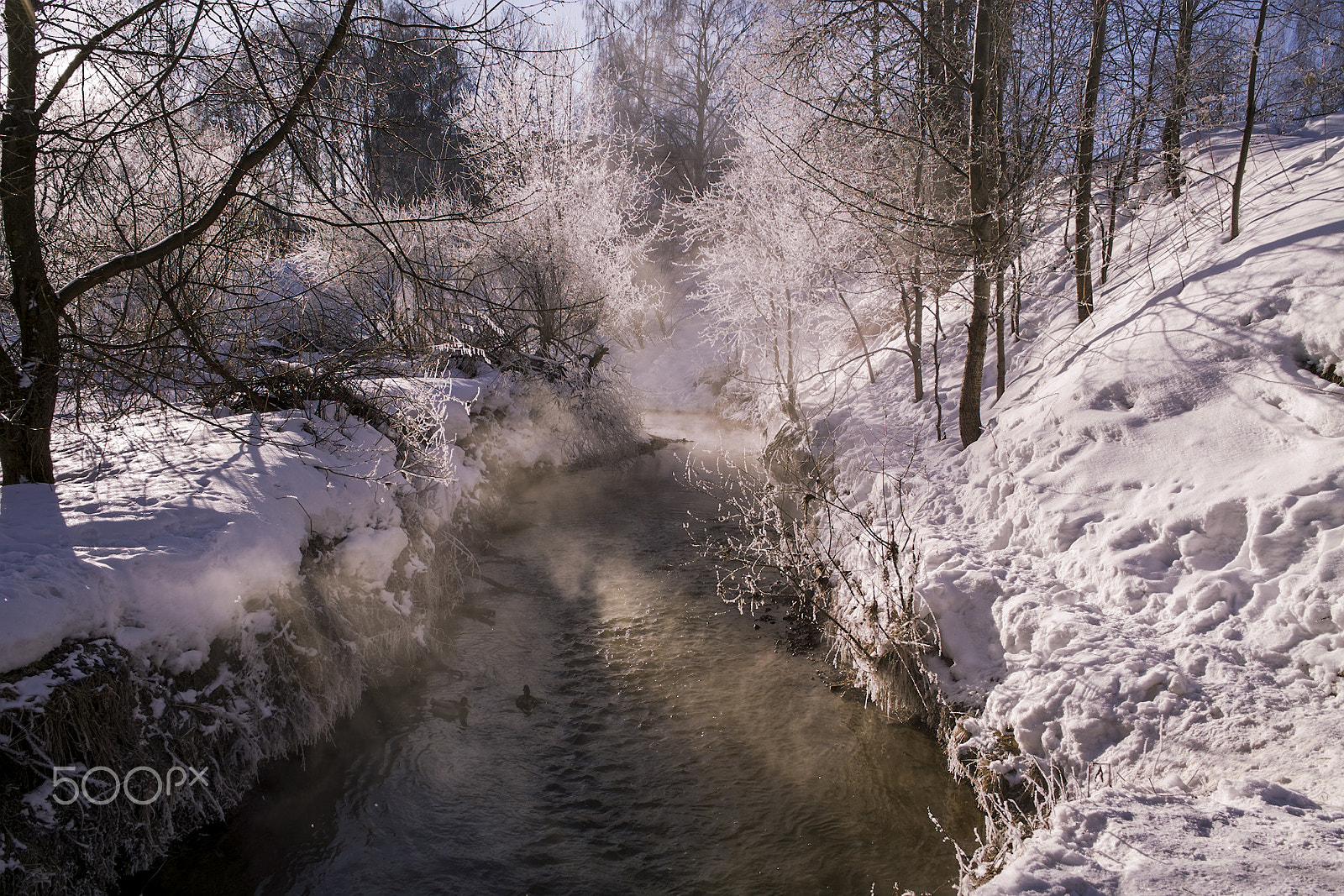 Sigma DP1 sample photo. Freezing morning photography