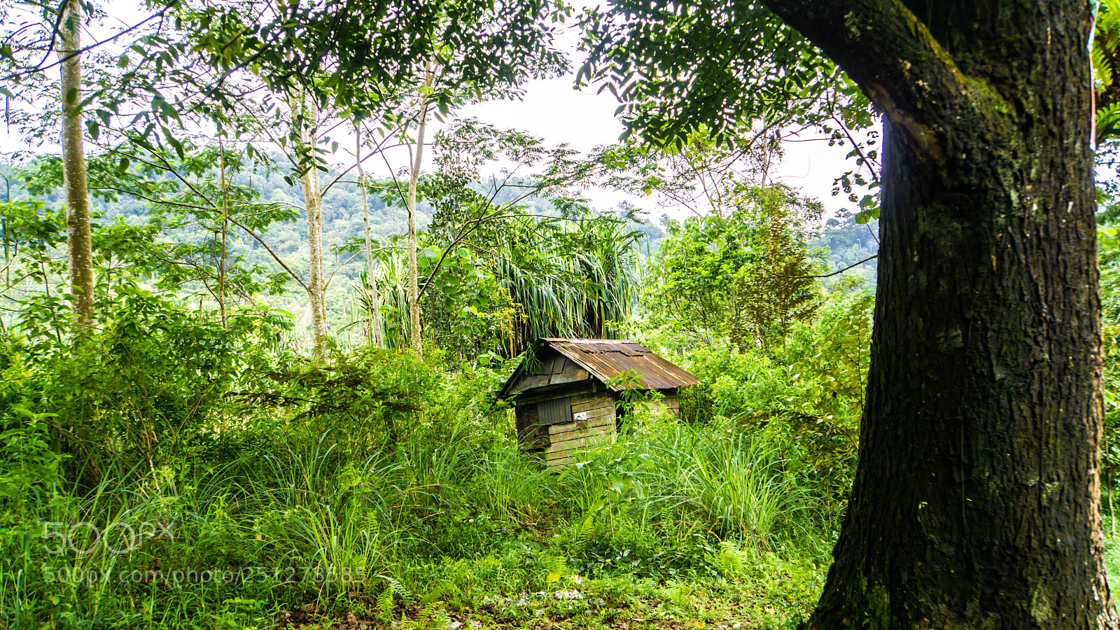 Sony a6000 sample photo. Abandoned cottage photography