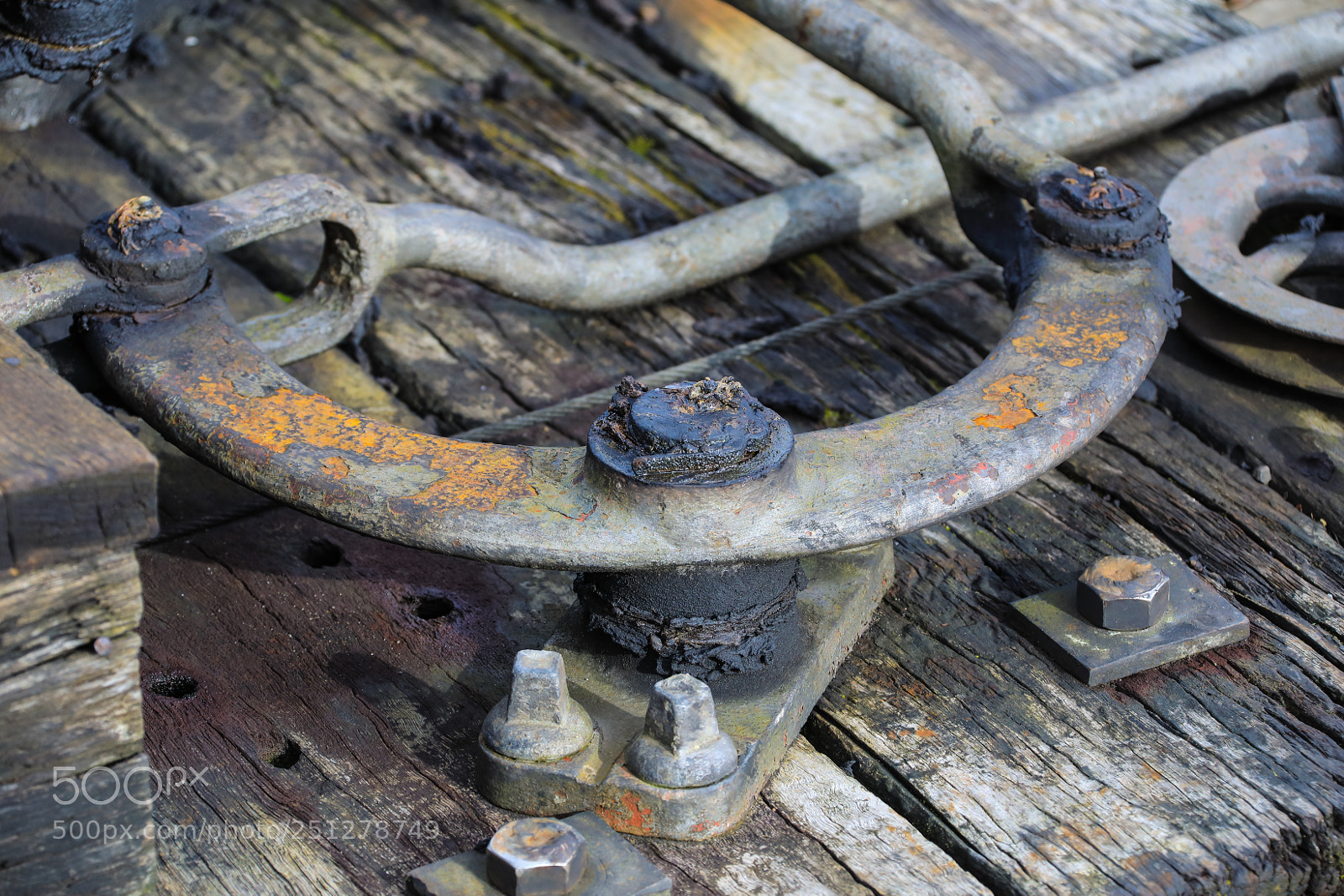 Canon EOS 5D Mark IV sample photo. Untitled photography
