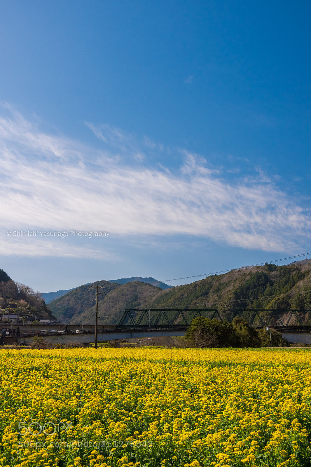 Pentax K-70 sample photo. Canola field & sky photography