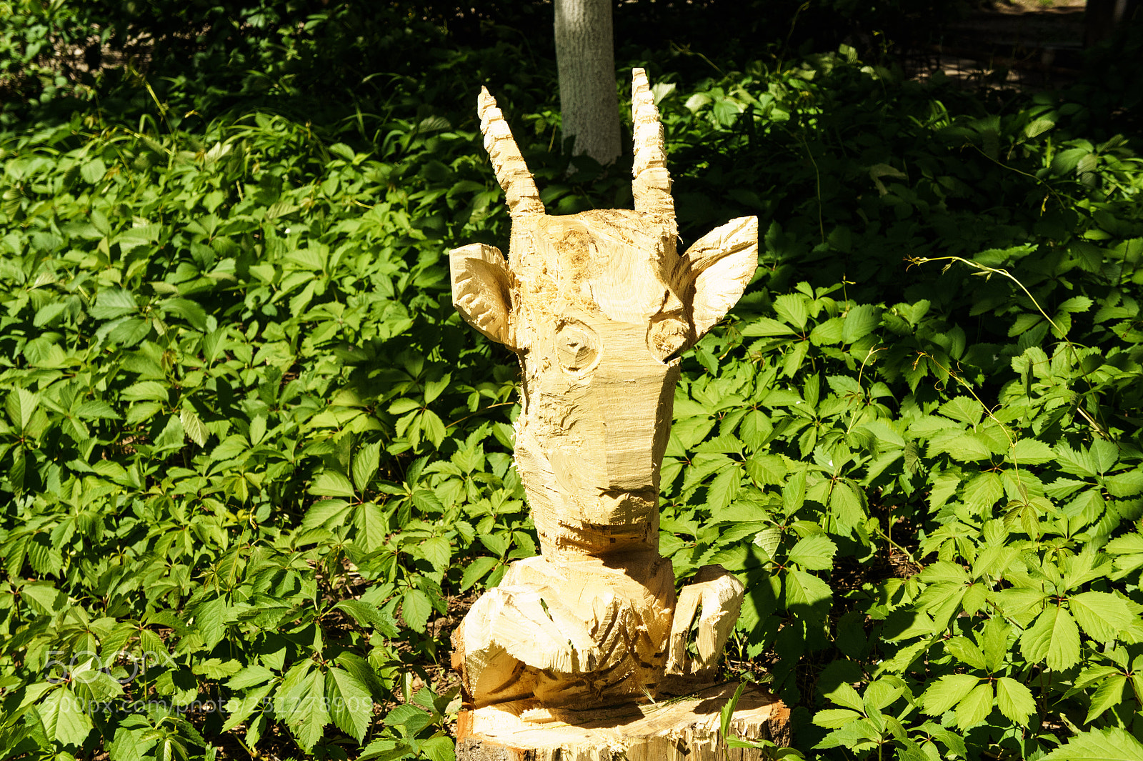 Sony Alpha NEX-5 sample photo. Untitled photography