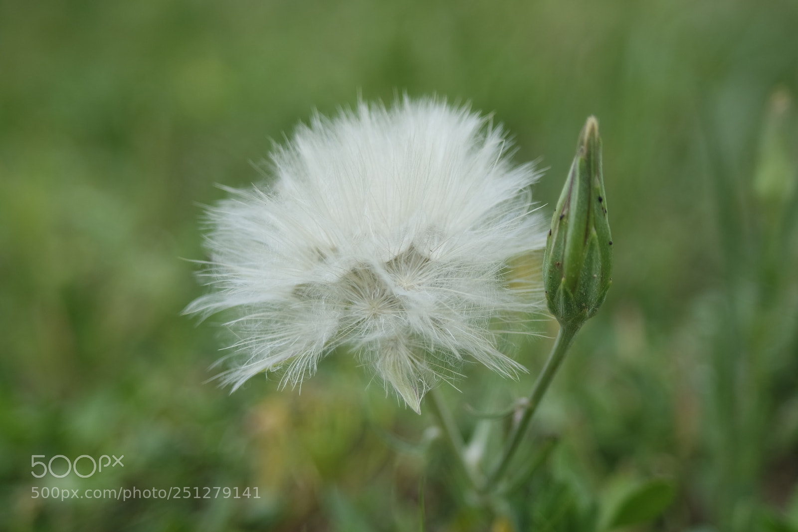 Samsung NX3000 sample photo. Samsung camera pictures�������� photography