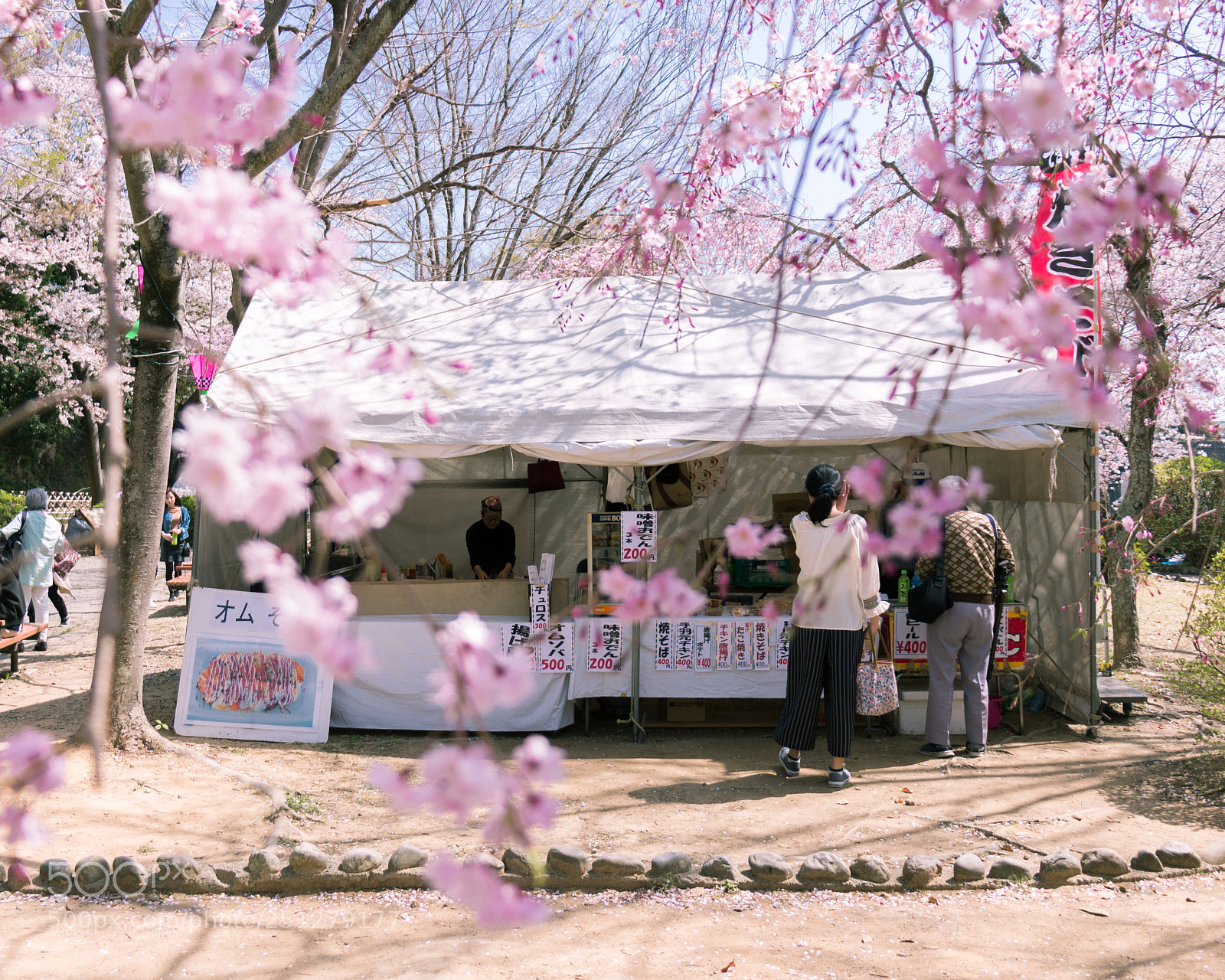 Canon EOS 700D (EOS Rebel T5i / EOS Kiss X7i) sample photo. Cherry blossoms at hamamatsu photography