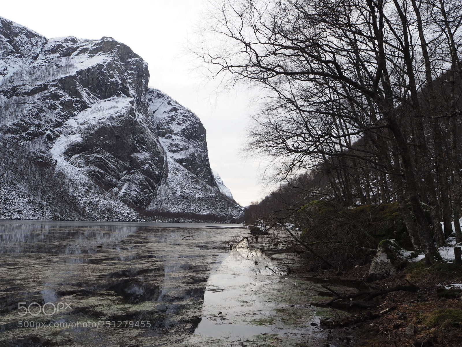Olympus OM-D E-M10 sample photo. Thaw photography