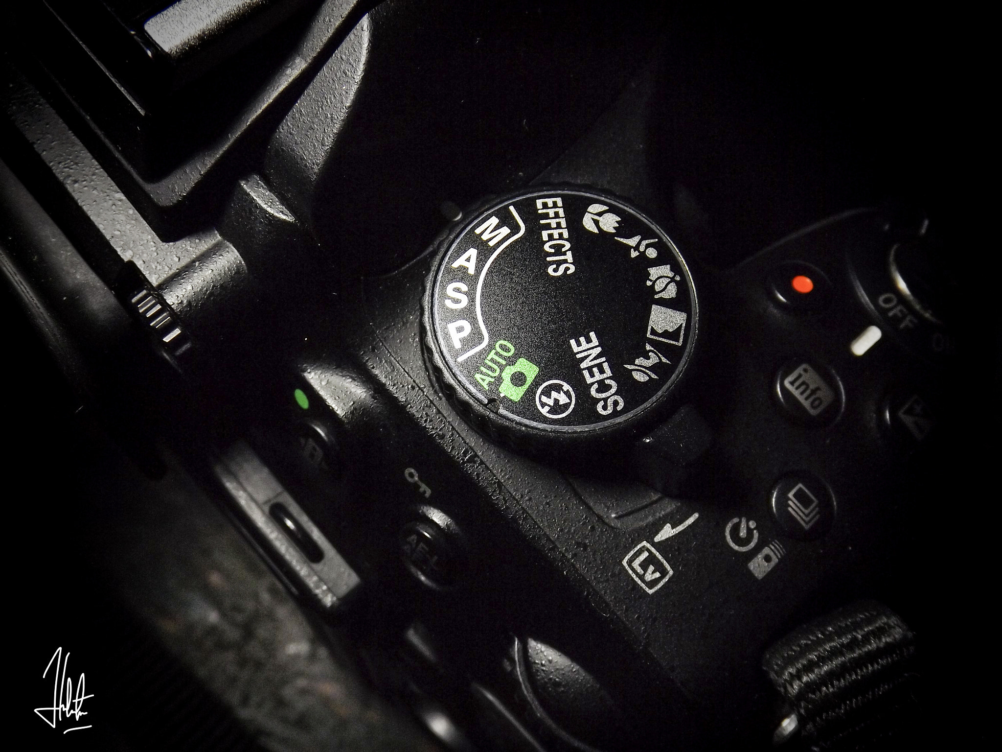 Fujifilm FinePix S4800 sample photo. Nikon d5200 photography