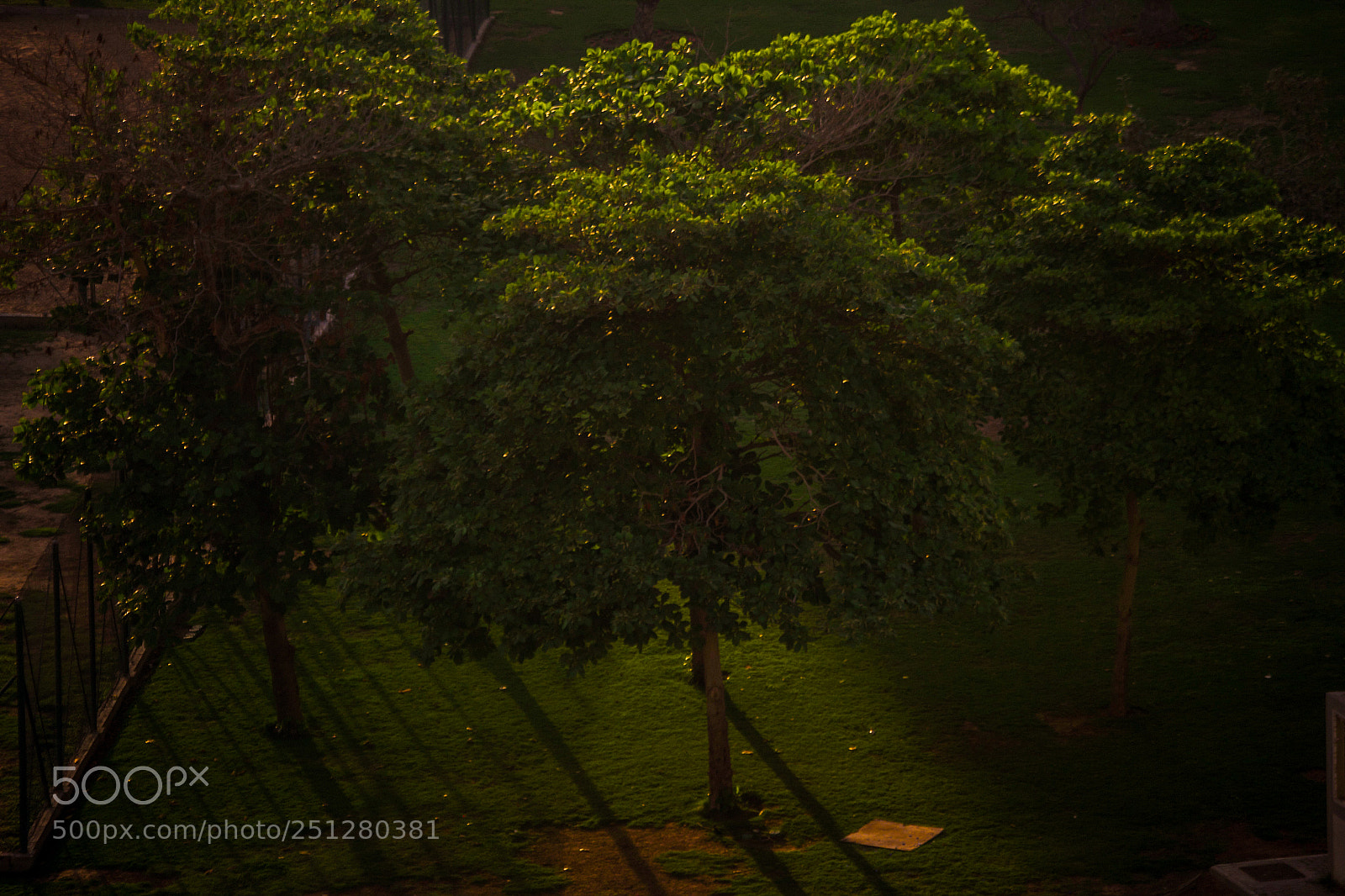 Nikon D3100 sample photo. Just nature photography
