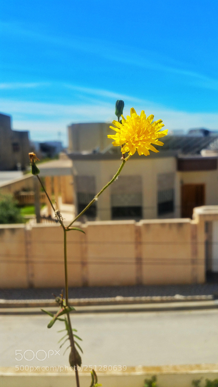 Samsung Galaxy S5 sample photo. Untitled photography