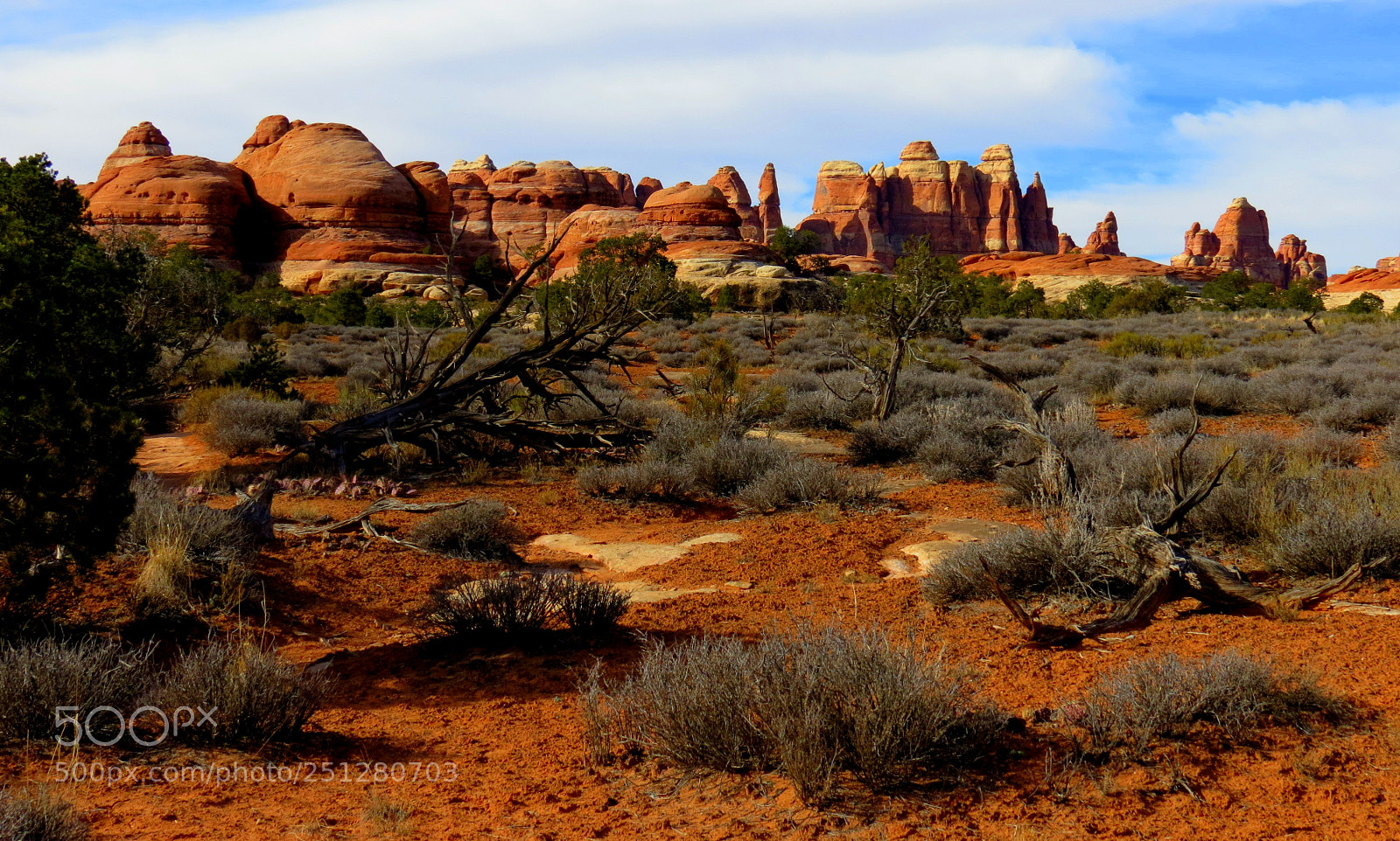 Canon PowerShot SX40 HS sample photo. The desert spirits are photography