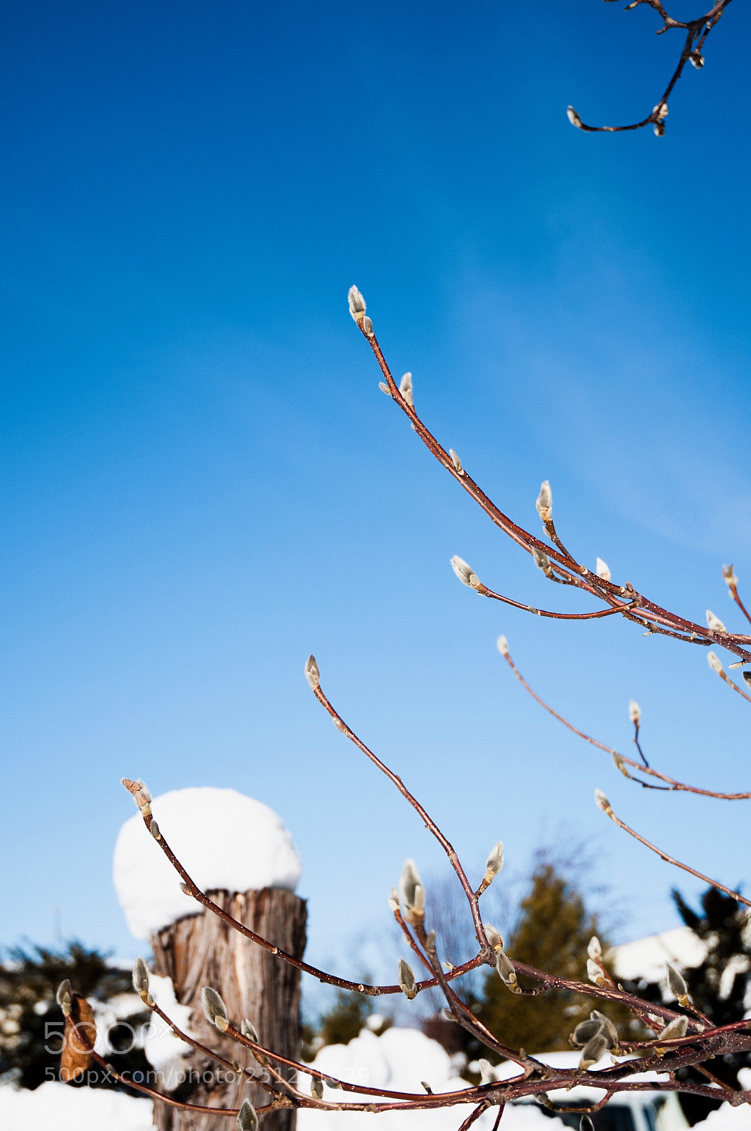 Nikon D3 sample photo. Sunny day photography