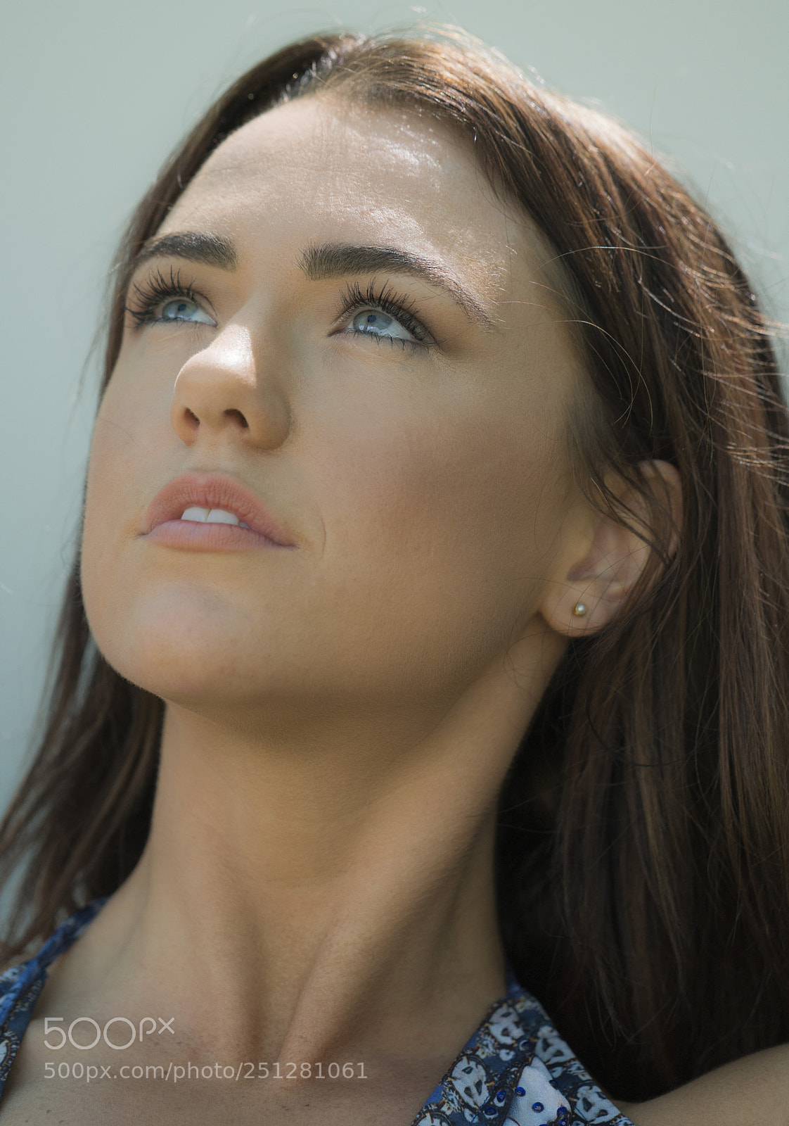Sony a7R III sample photo. Looking up photography