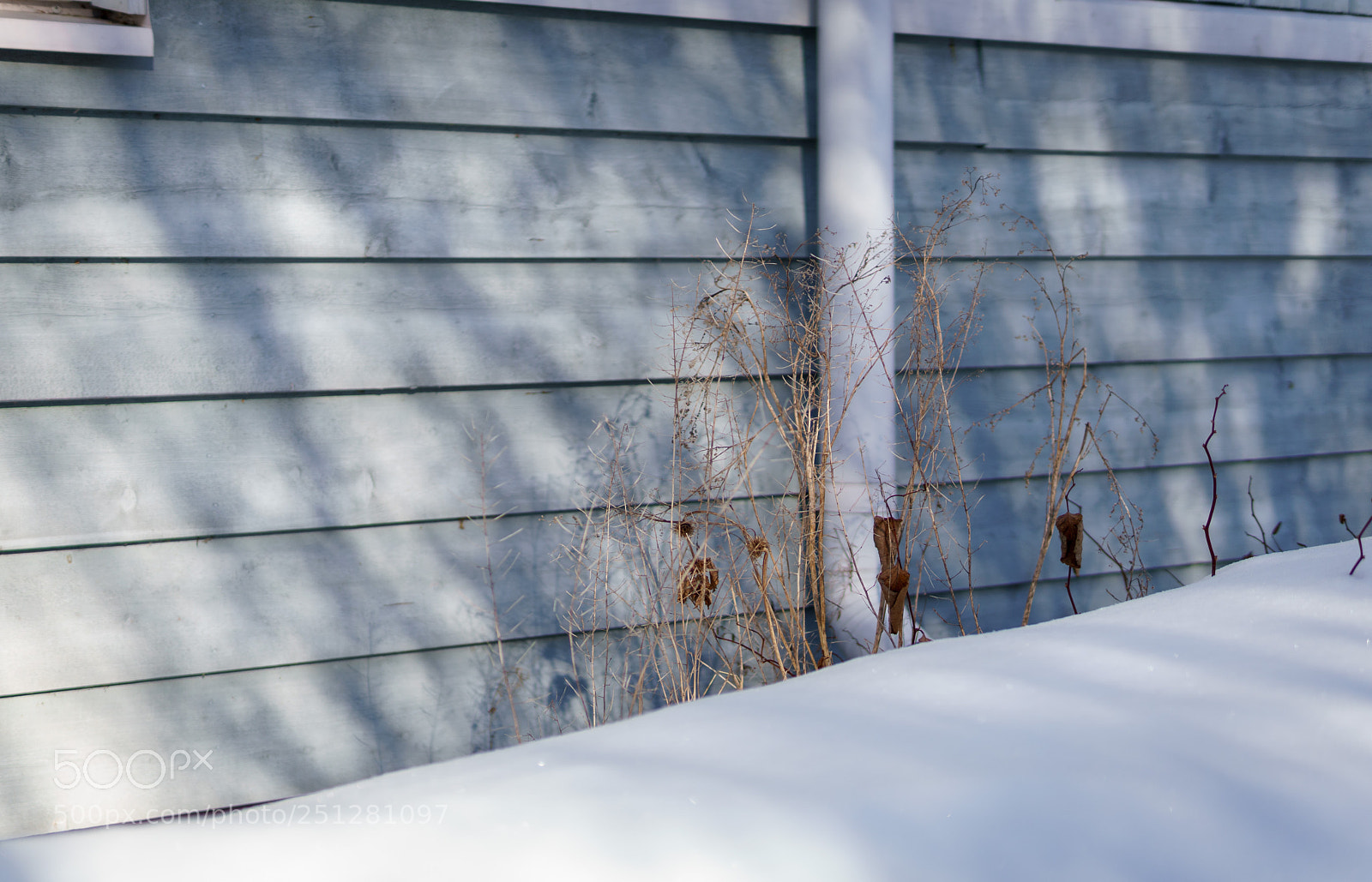 Sony a6300 sample photo. Winter morning shadows photography