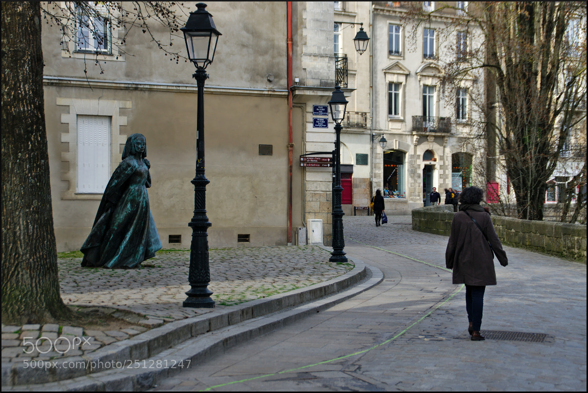 Pentax K20D sample photo. Anne de bretagne photography