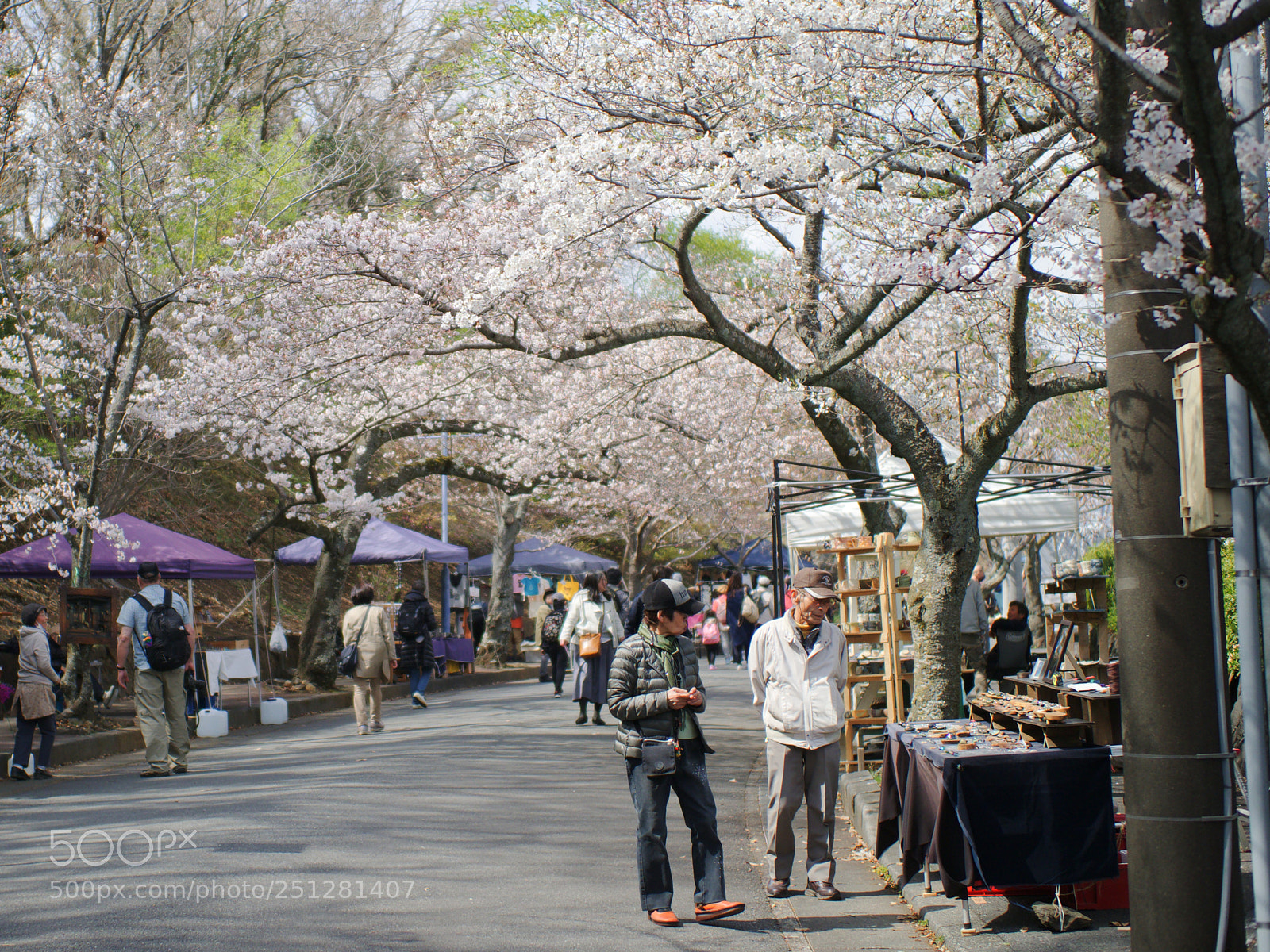 Olympus OM-D E-M1 Mark II sample photo. 上を見て下を見て | look up look down photography