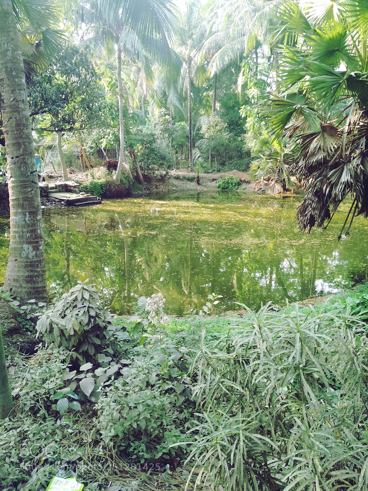 Xiaomi Redmi 4 Pro sample photo. Untitled photography