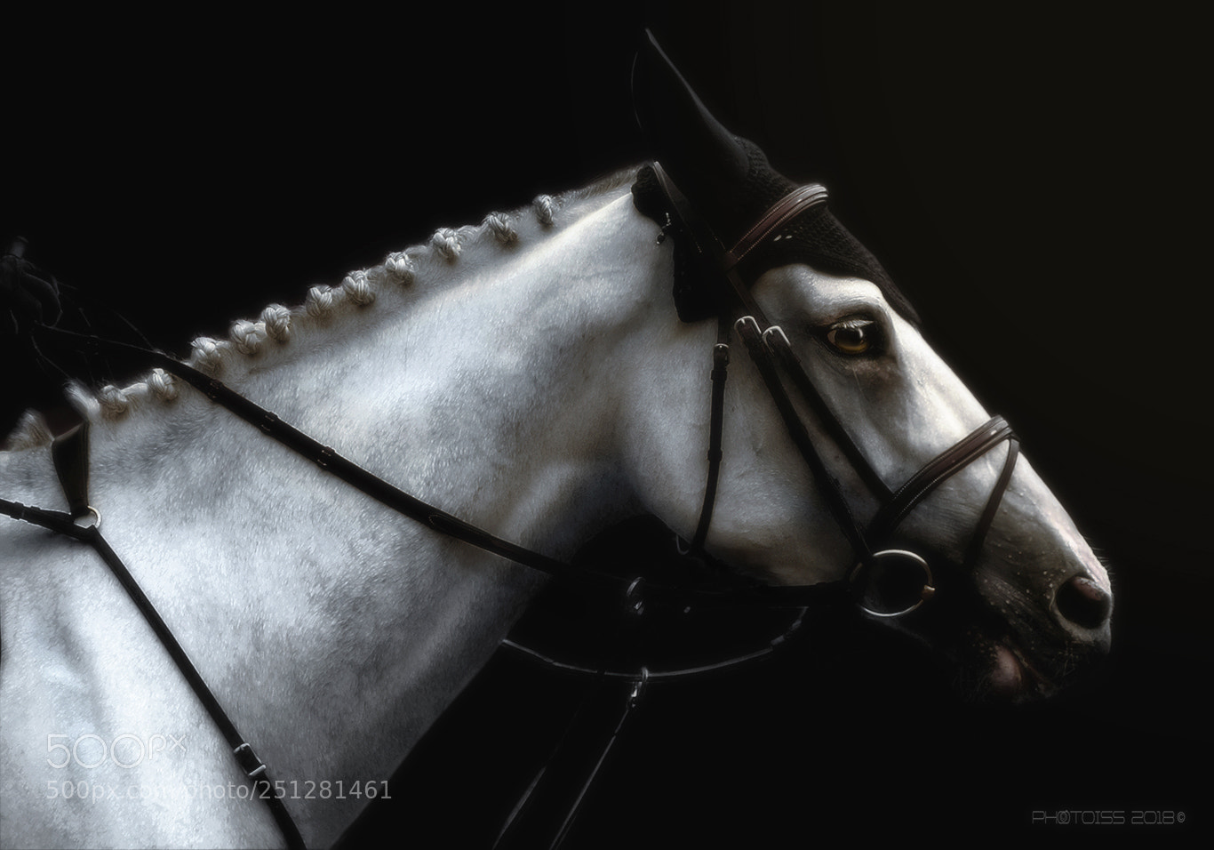 Canon EOS 70D sample photo. Wight horse photography