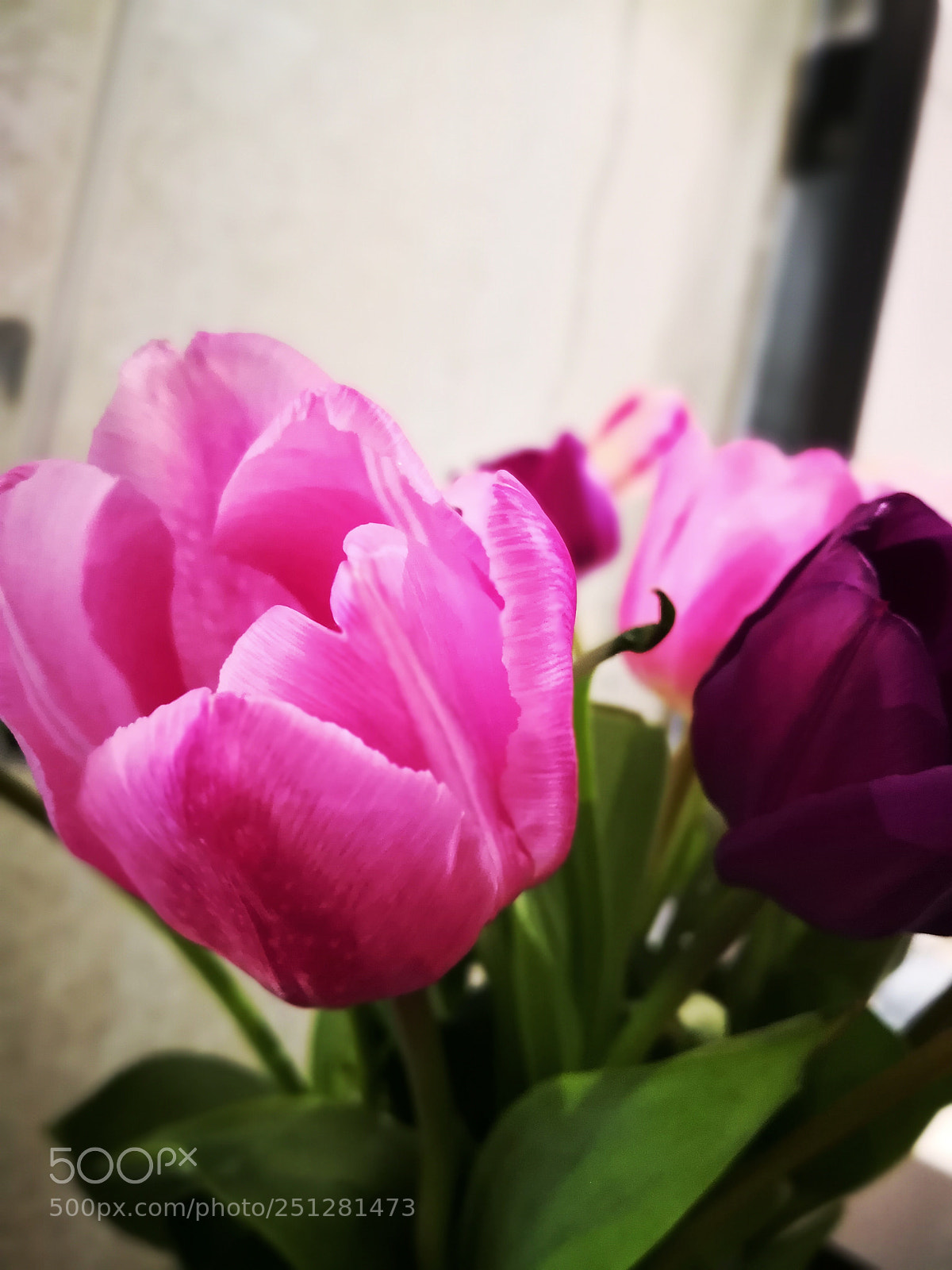 HUAWEI Mate 10 Pro sample photo. Untitled photography