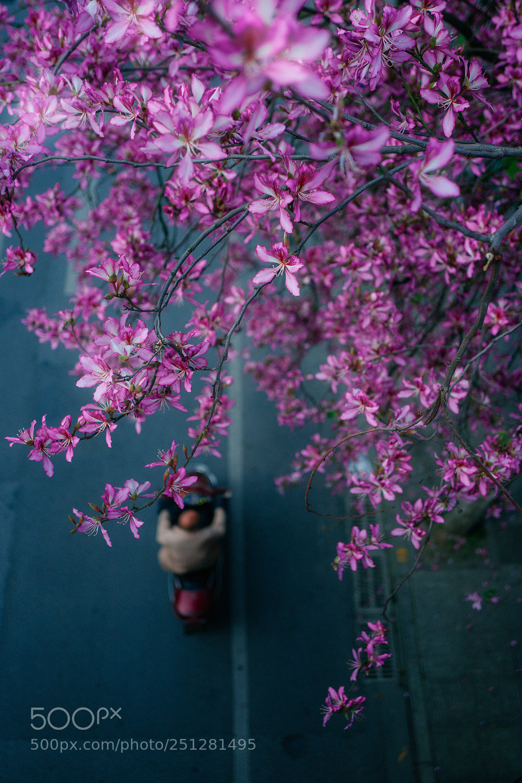 Leica Q (Typ 116) sample photo. Relation photography