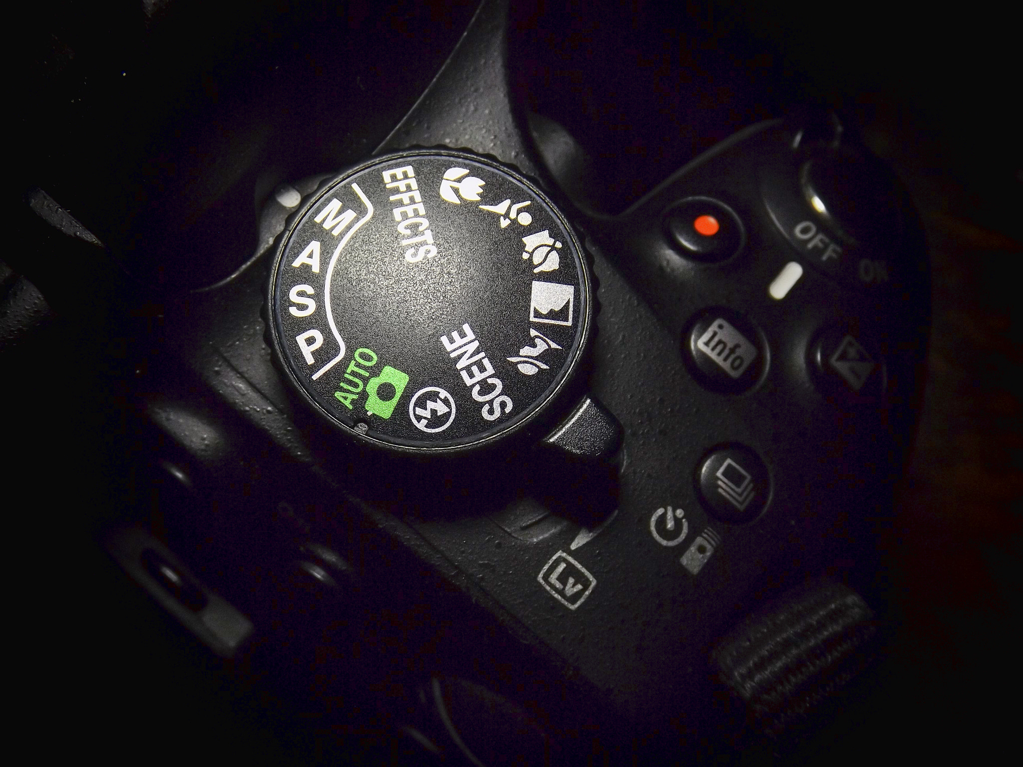 Fujifilm FinePix S4800 sample photo. Nikon photography