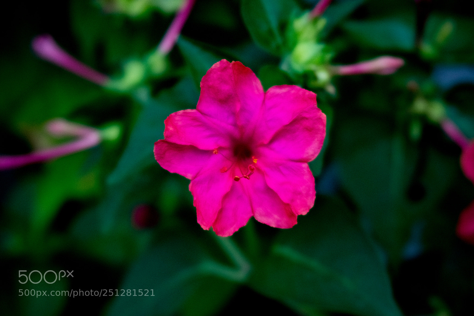 Sony a6000 sample photo. Ior-05 photography
