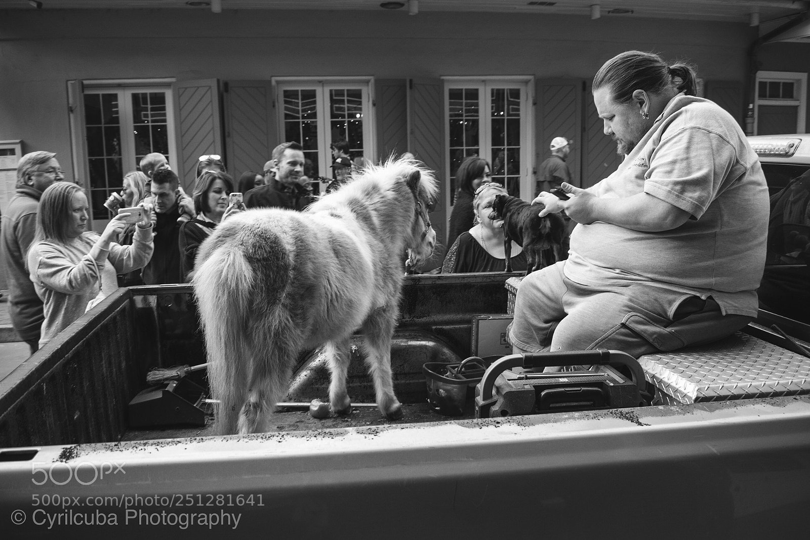 Nikon D5500 sample photo. A donkey, a dog photography