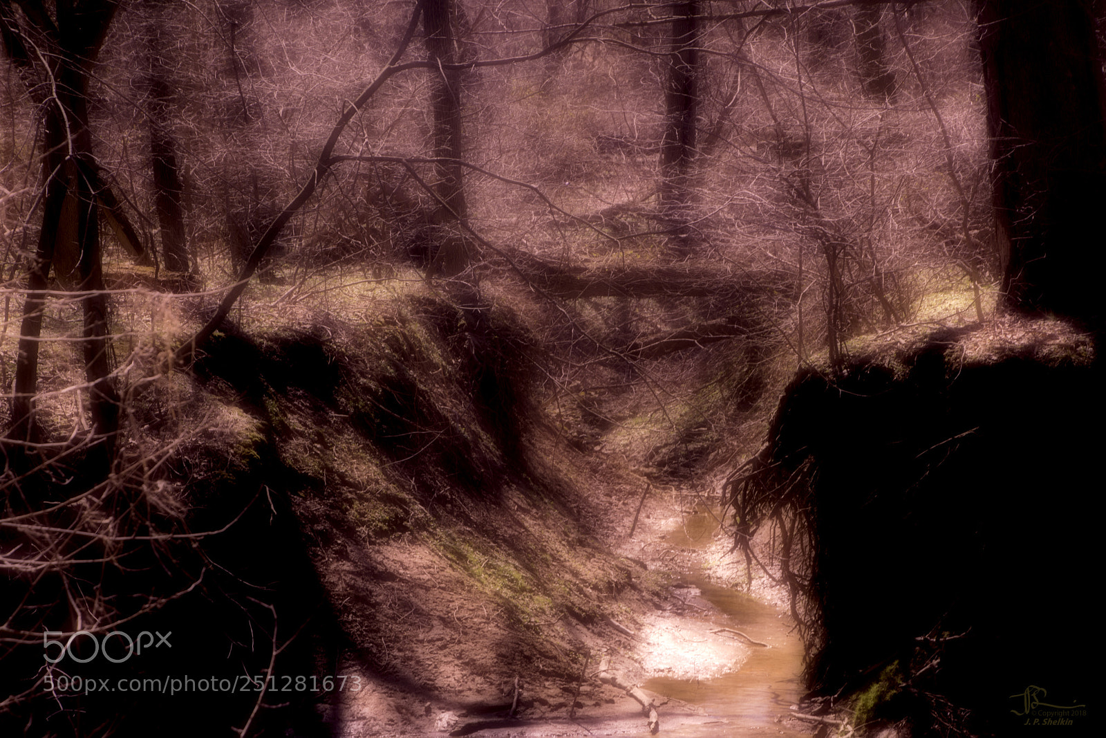 Nikon D7100 sample photo. Forest brook photography