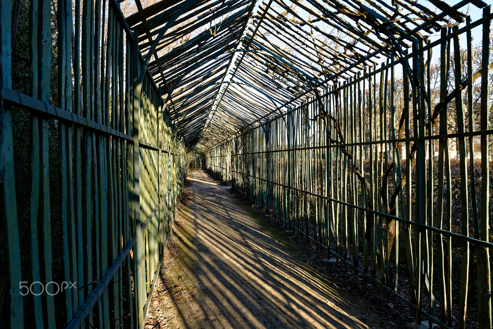 Nikon AF-S Nikkor 24-70mm F2.8G ED sample photo. Garden sunset perspective (2) photography