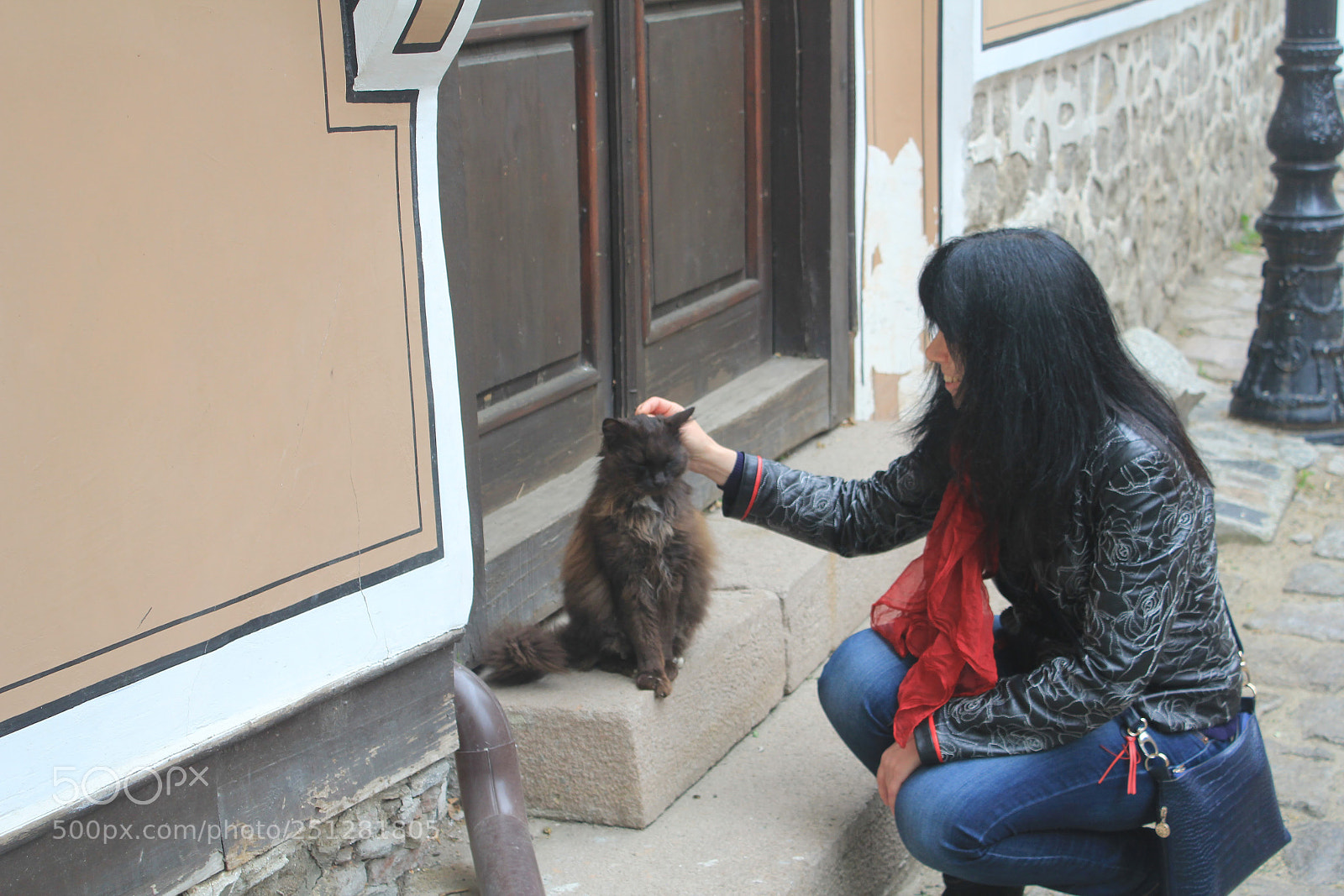 Canon EF-S 18-55mm F3.5-5.6 IS sample photo. Lovely cat photography