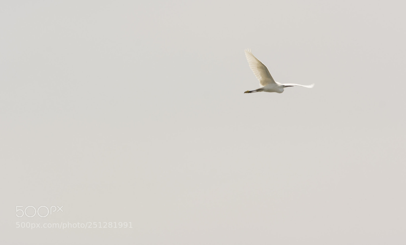 Nikon D5200 sample photo. Flight photography