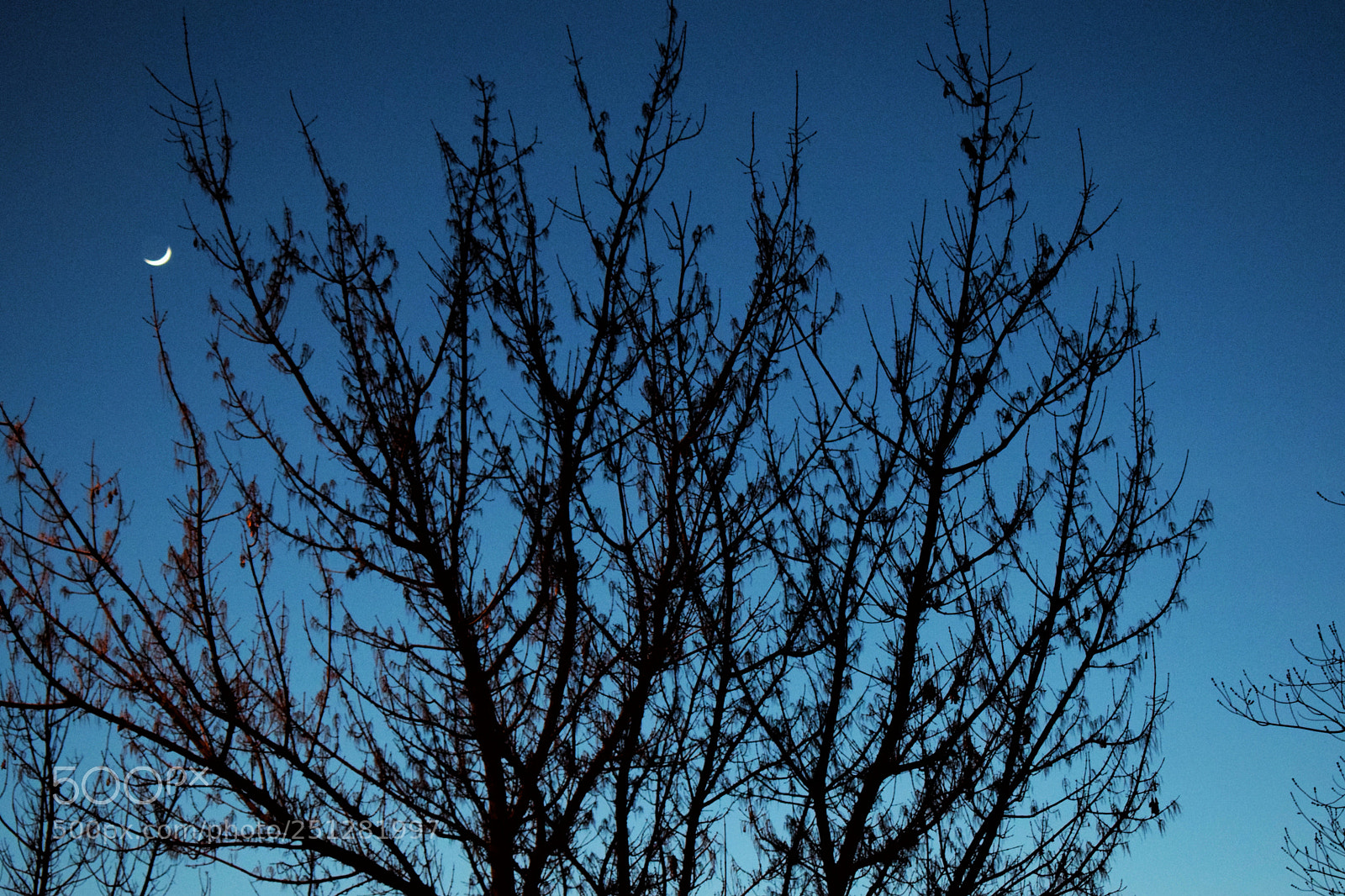 Nikon D5300 sample photo. Blue and black. photography