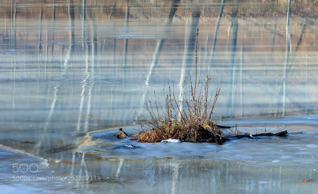 Canon EOS 80D sample photo. Icy reflections photography