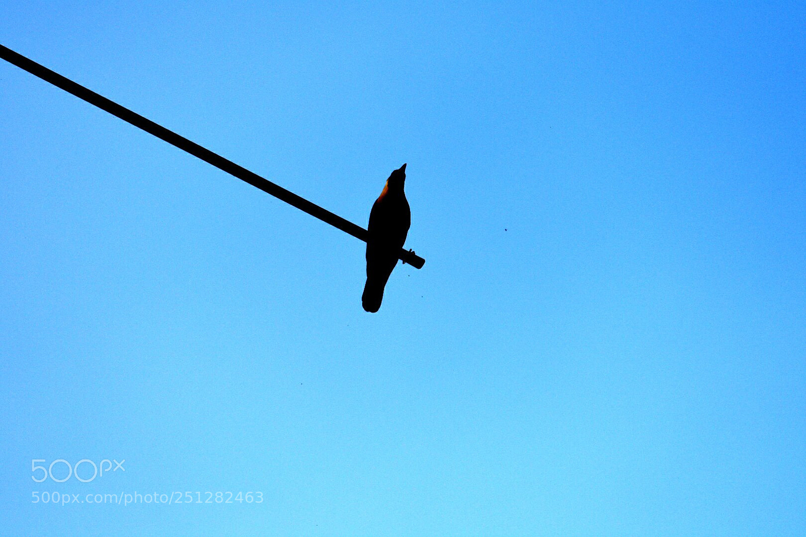 Nikon D3400 sample photo. Holding faith photography