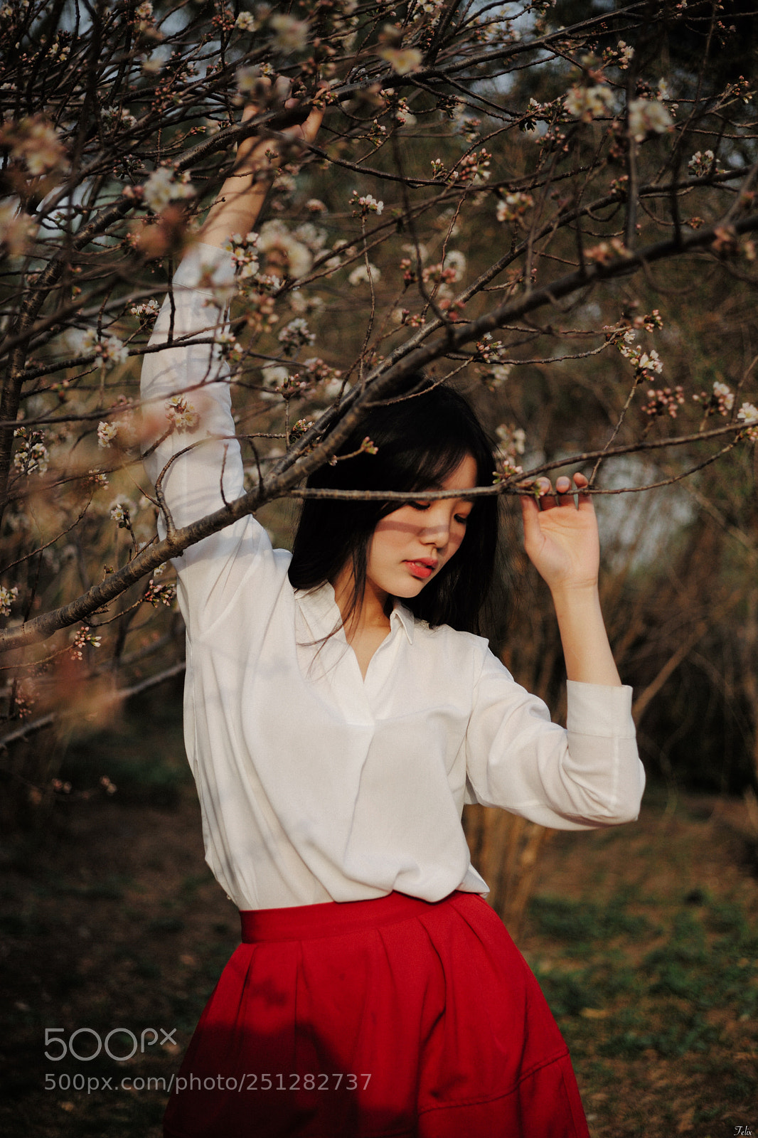 Leica M (Typ 240) sample photo. Sakura girl photography