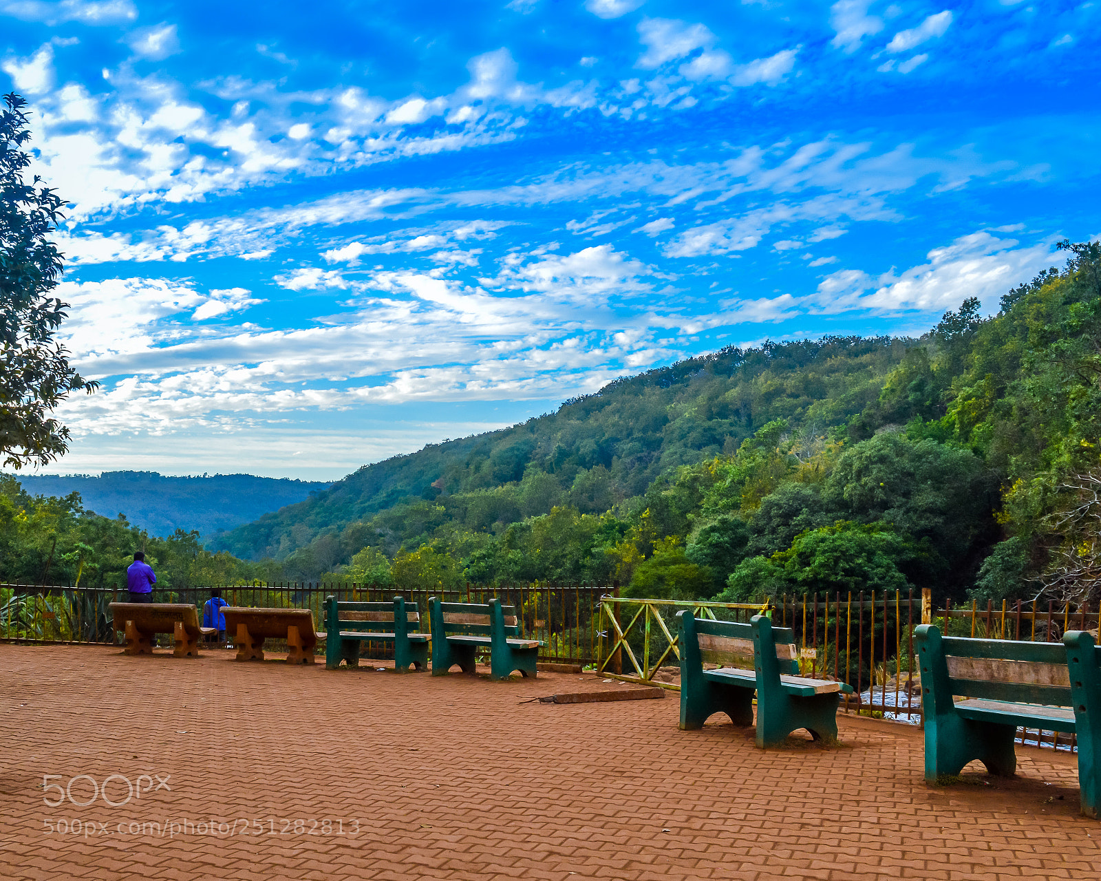 Nikon D3200 sample photo. Garden path view in photography
