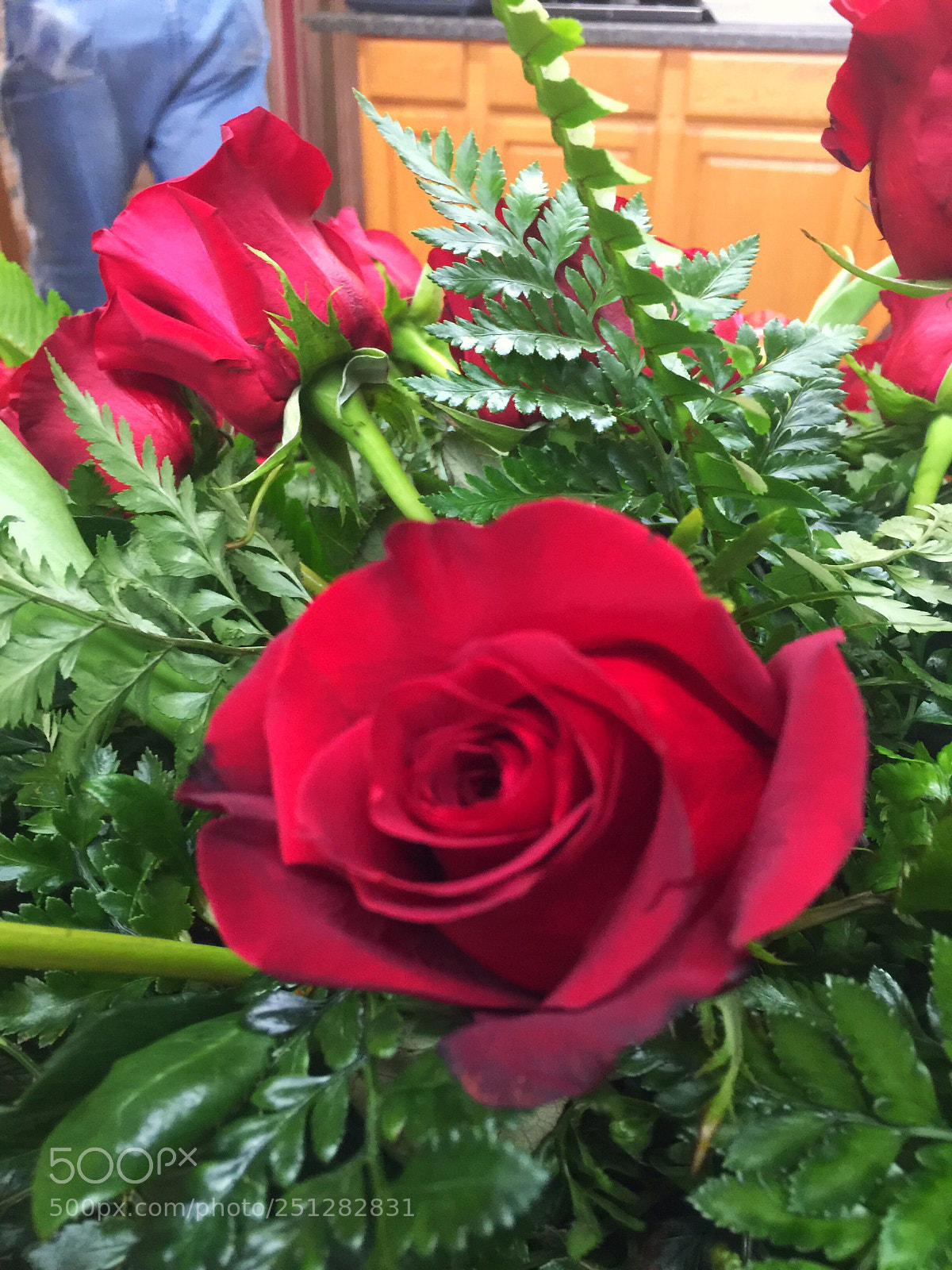 Apple iPhone 6 Plus sample photo. Today’s flower  photography
