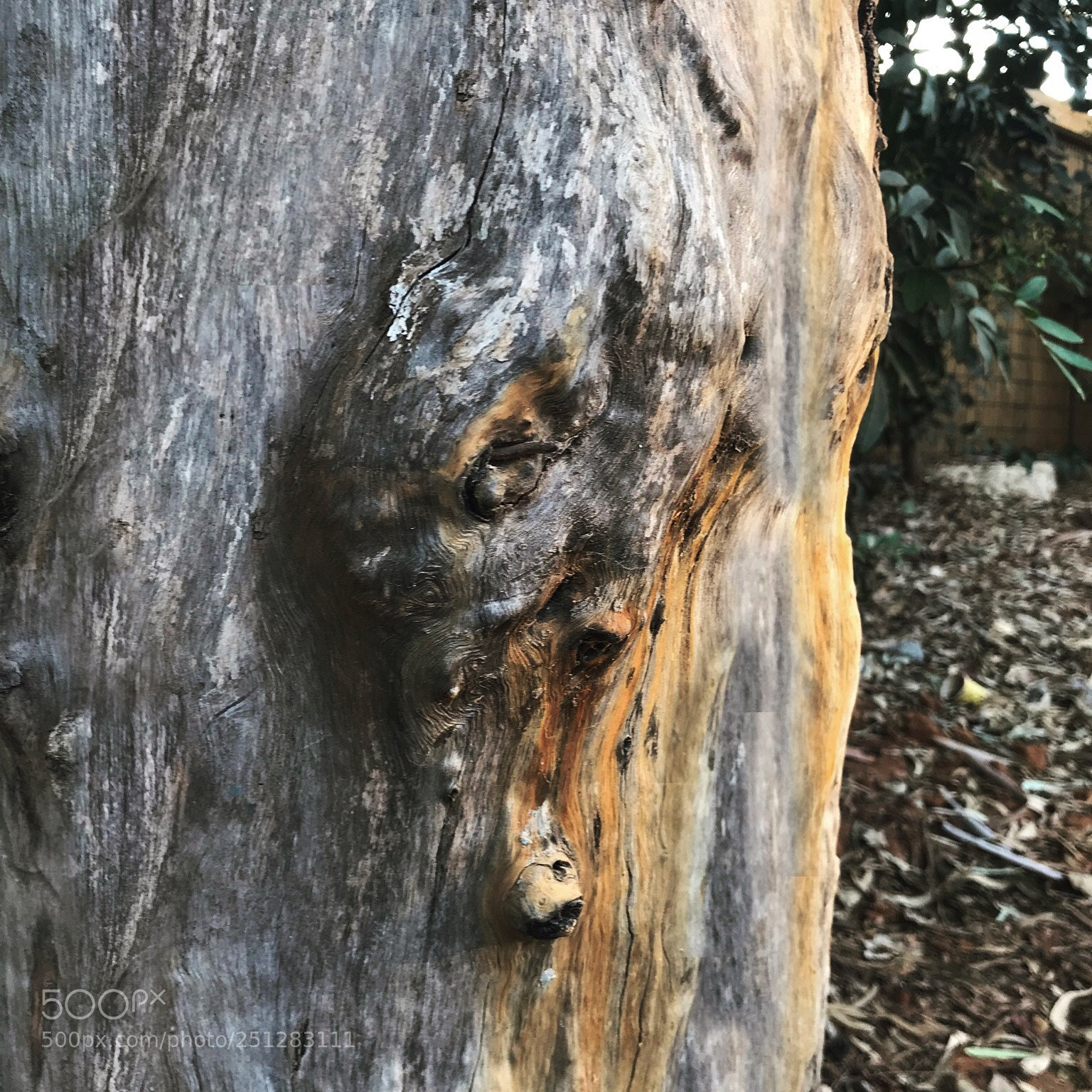 Apple iPhone 7 sample photo. Untitled photography