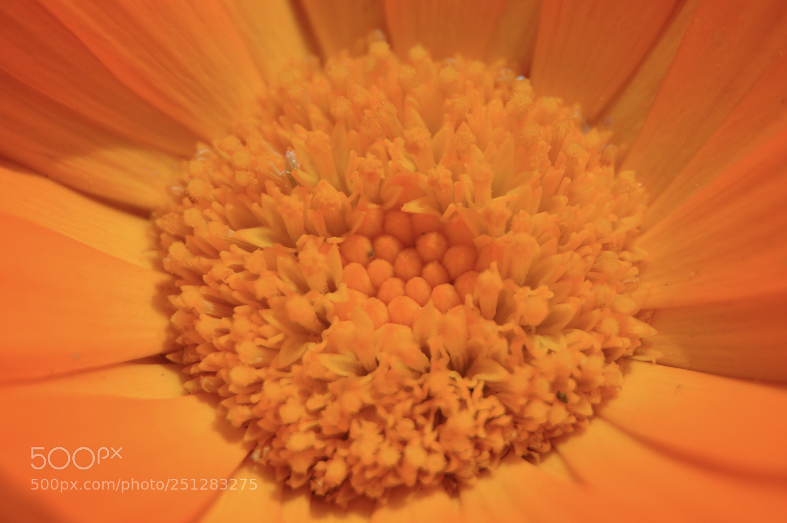 Nikon D3200 sample photo. Untitled photography