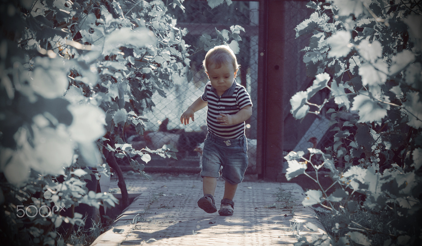 Nikon D5300 sample photo. Childhood photography